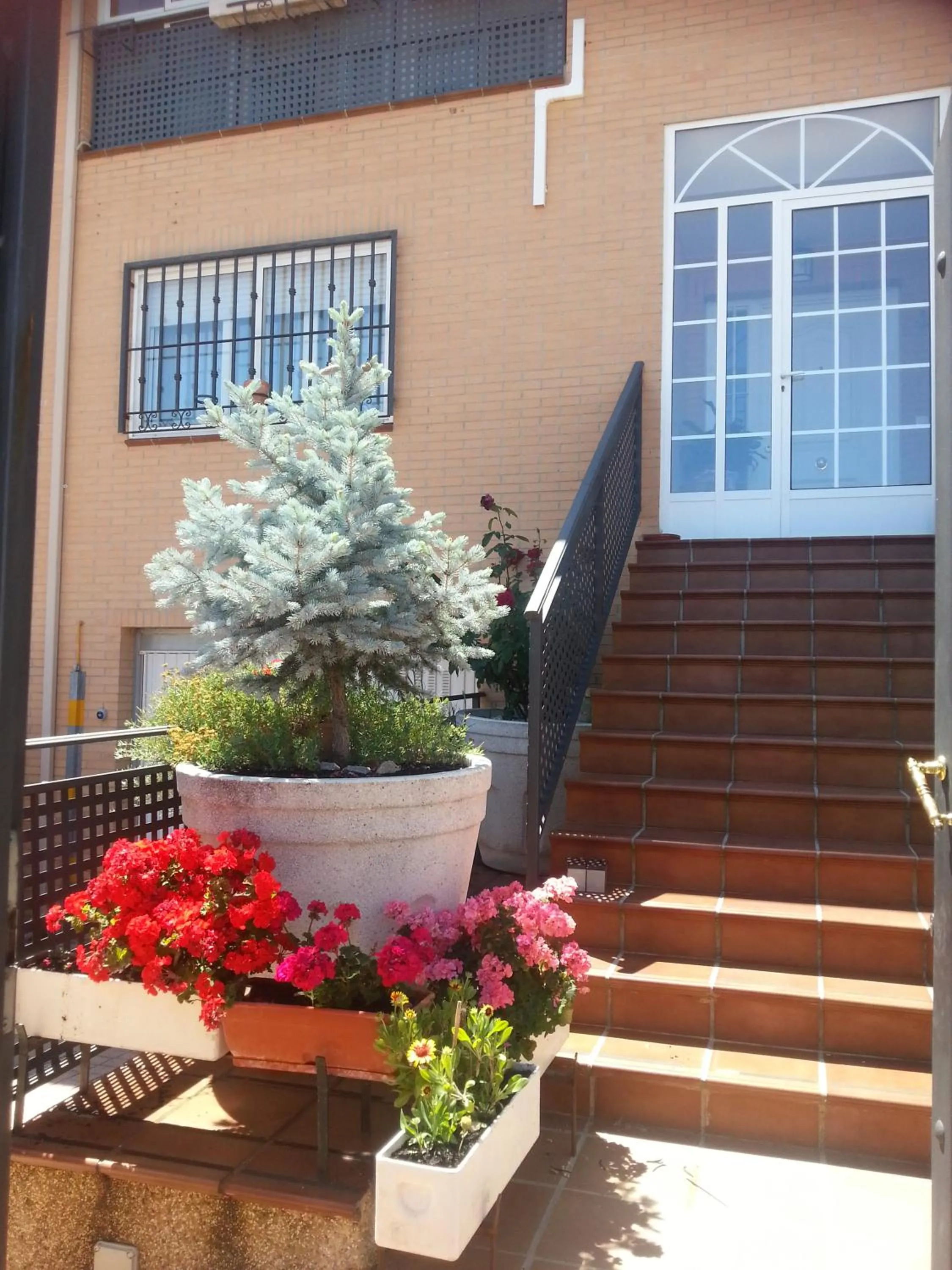 Property building in Casa Montesol