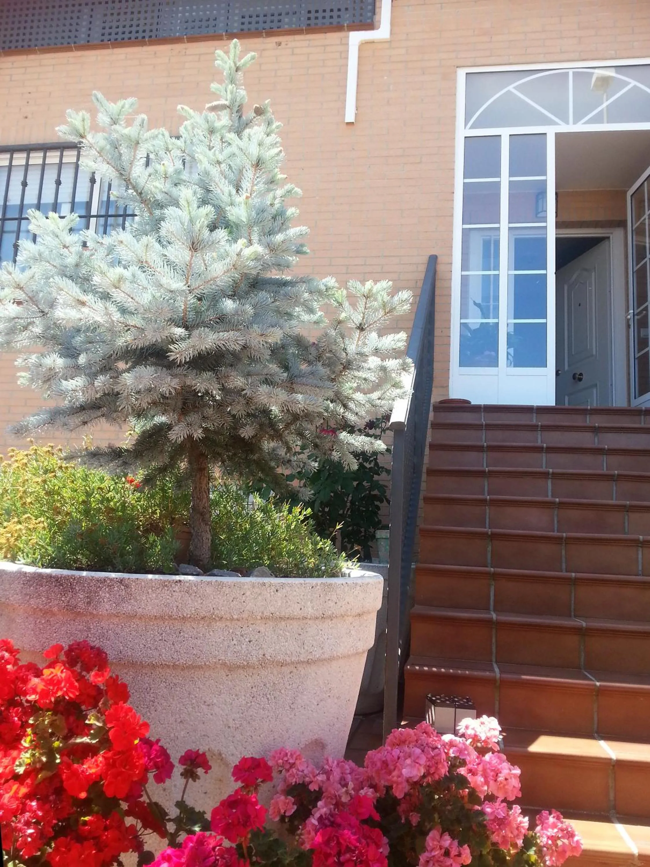 Property building in Casa Montesol