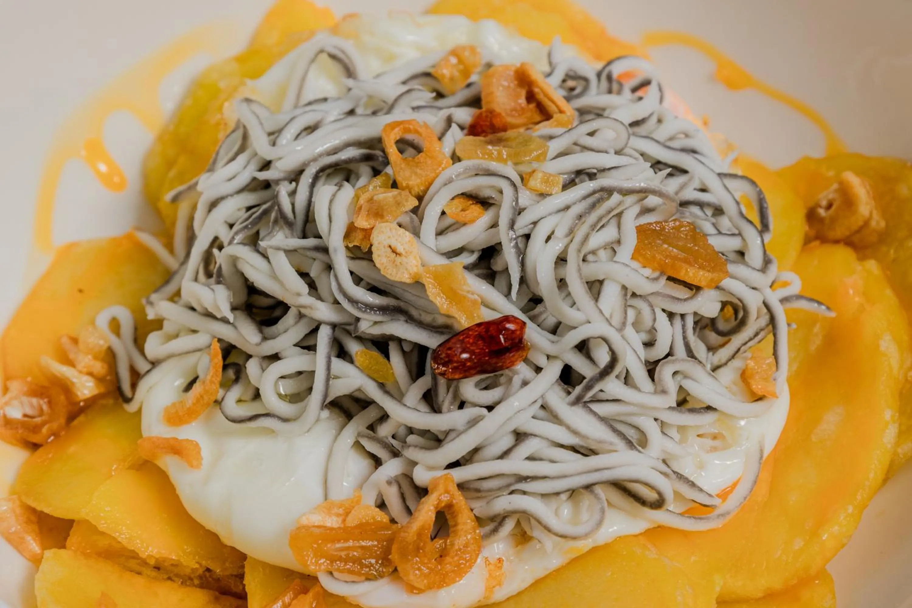 Hotel Apolonia Soria