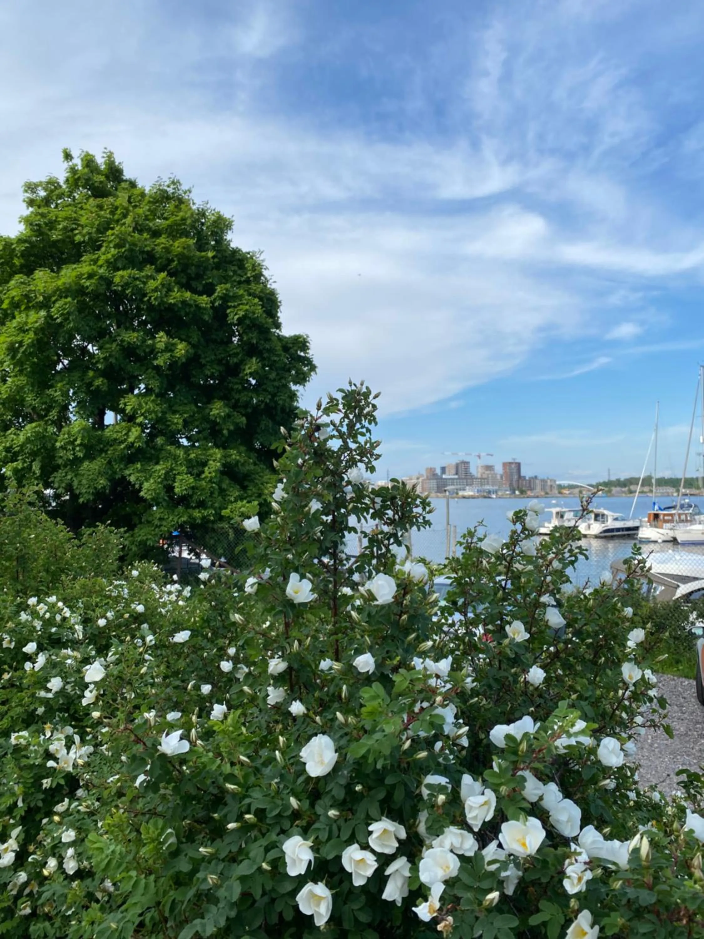 Neighbourhood in Inn Tourist Hostel