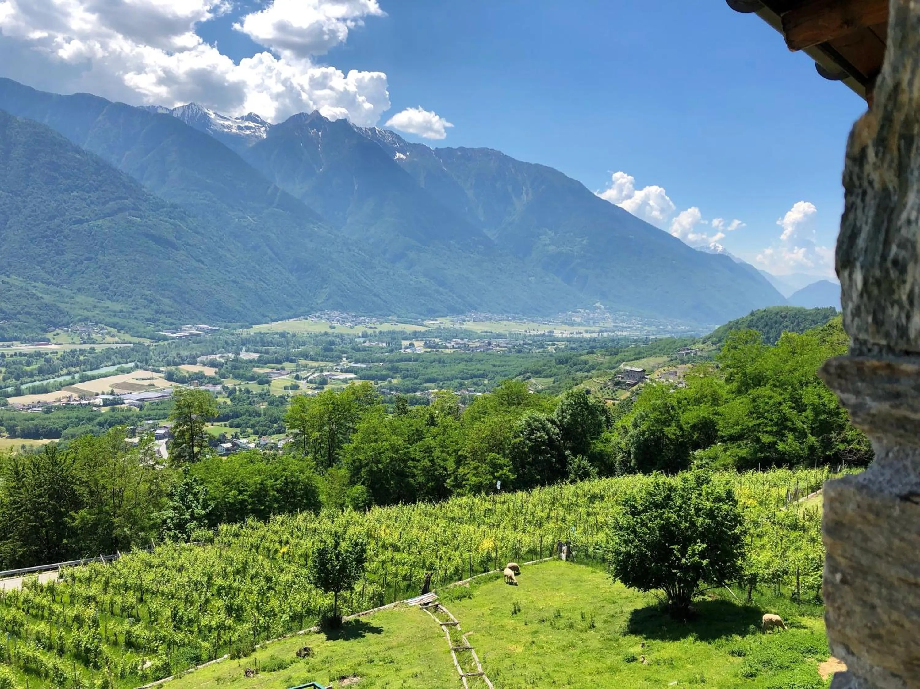 Agriturismo Cavria