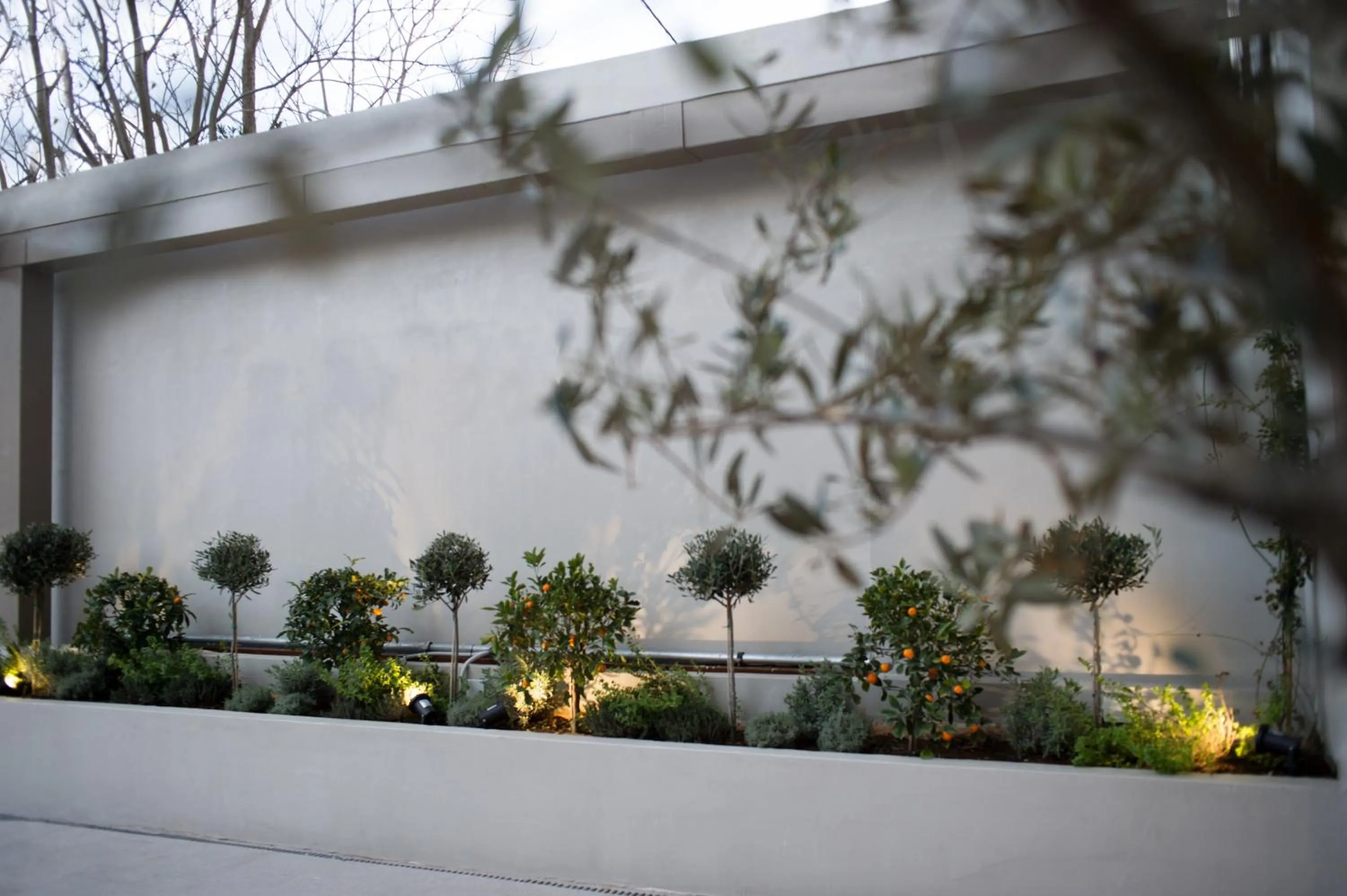 Property building in The Convo Athens Riviera