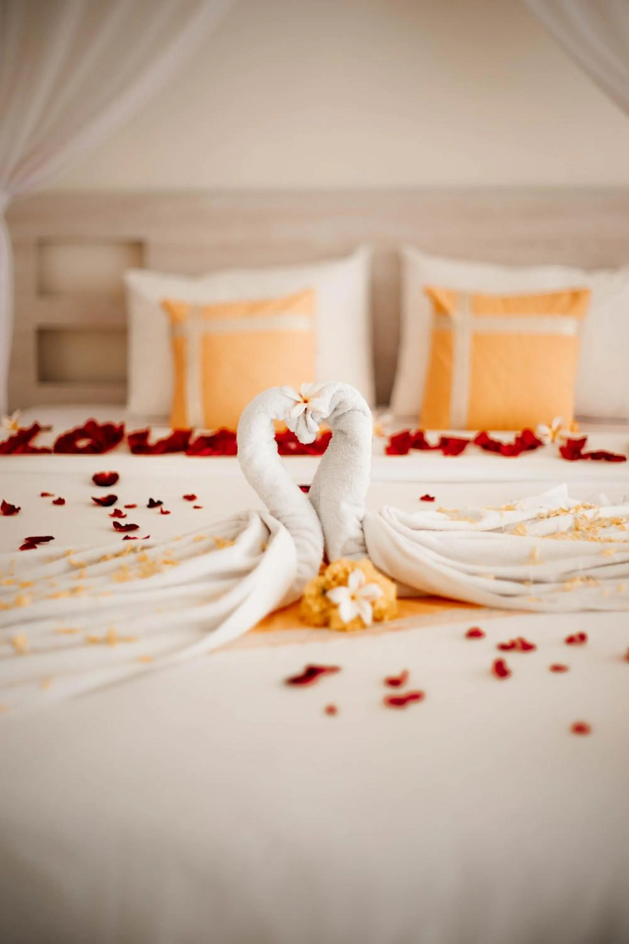 Bed in Damar Sanjaya Uttama