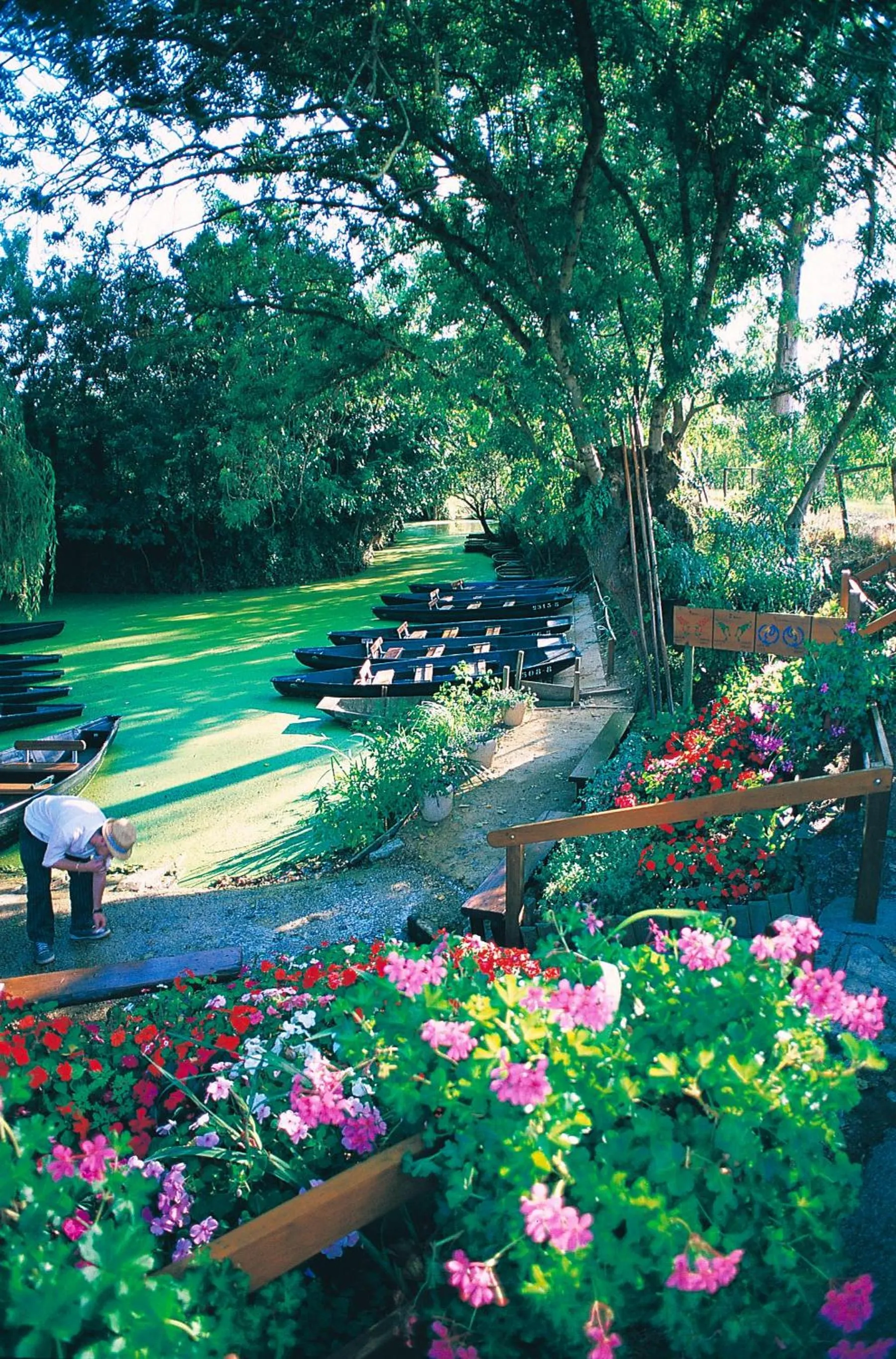 Area and facilities in Azureva Vendée Océan