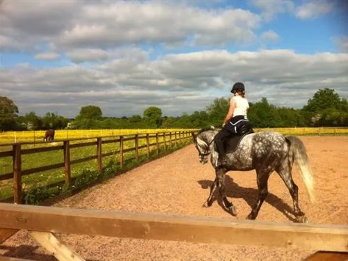 Horse-riding in The Stables - Deer Park Farm