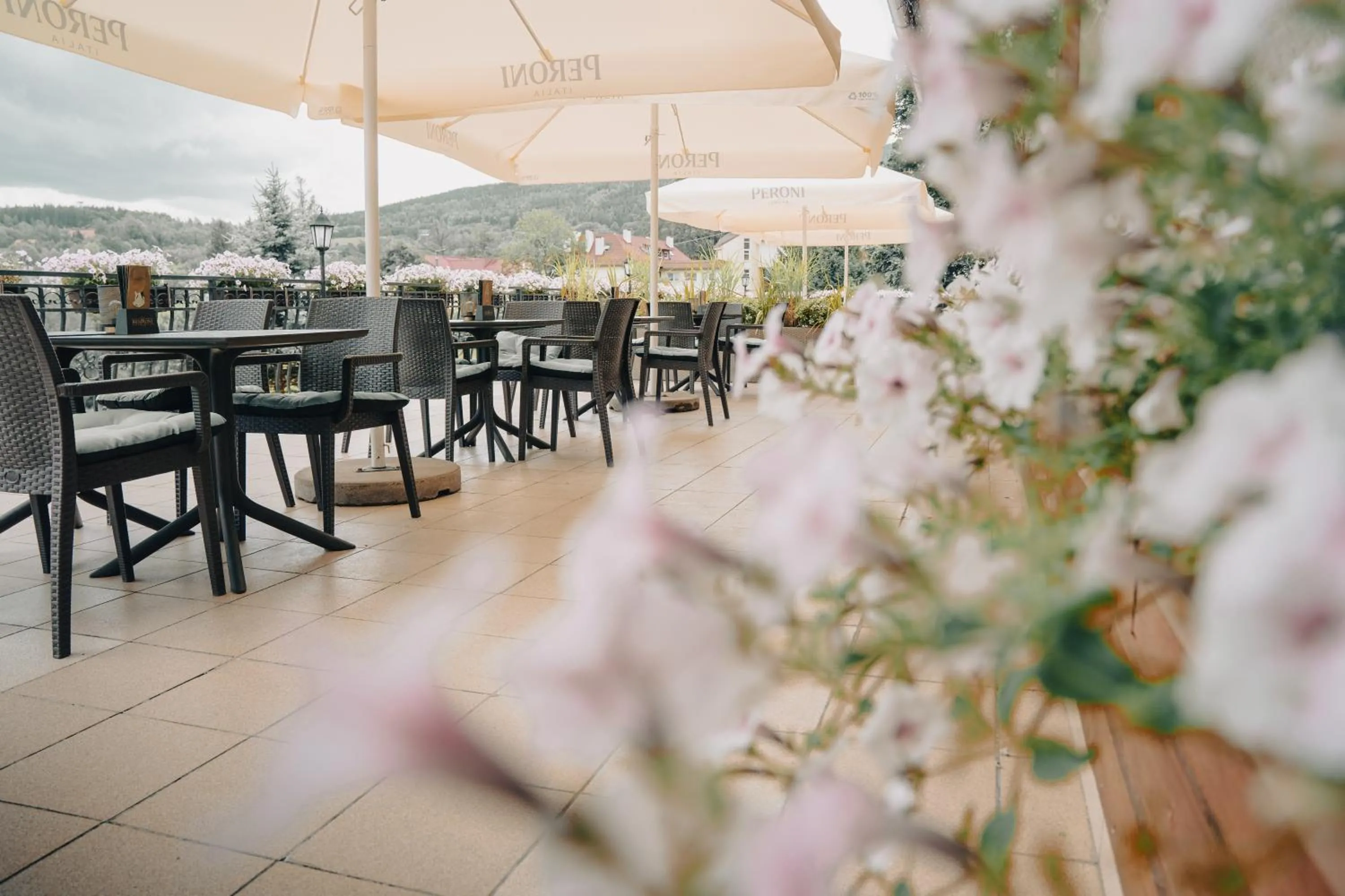 Restaurant/places to eat in Hotel Le Mont Medical & SPA
