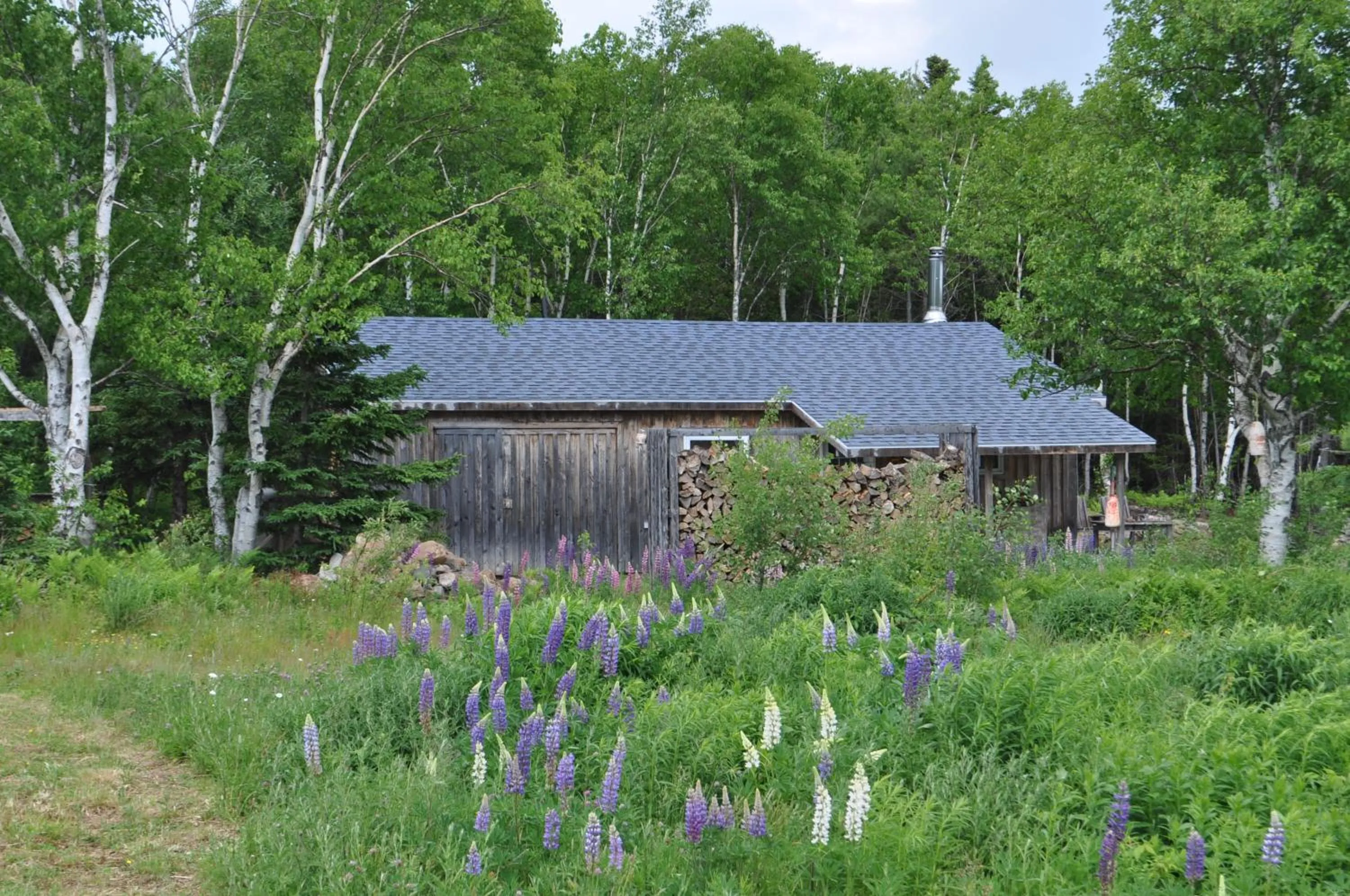 Property building in The Sleeping Moose Cottage