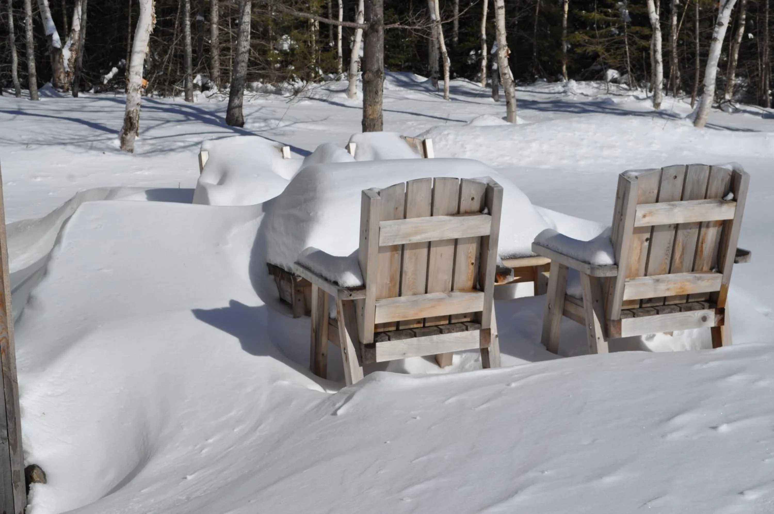 Winter in The Sleeping Moose Cottage