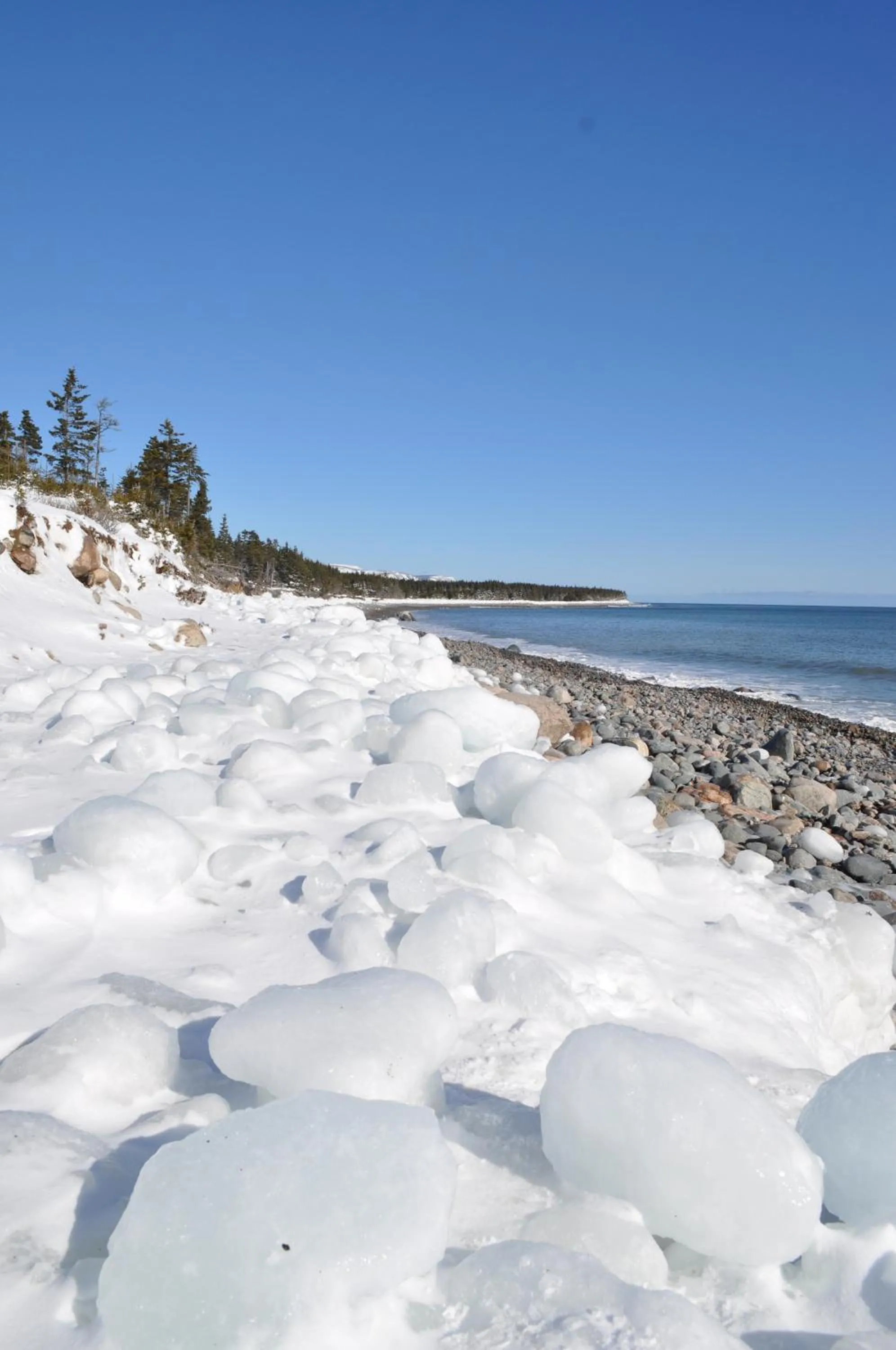 Winter in The Sleeping Moose Cottage