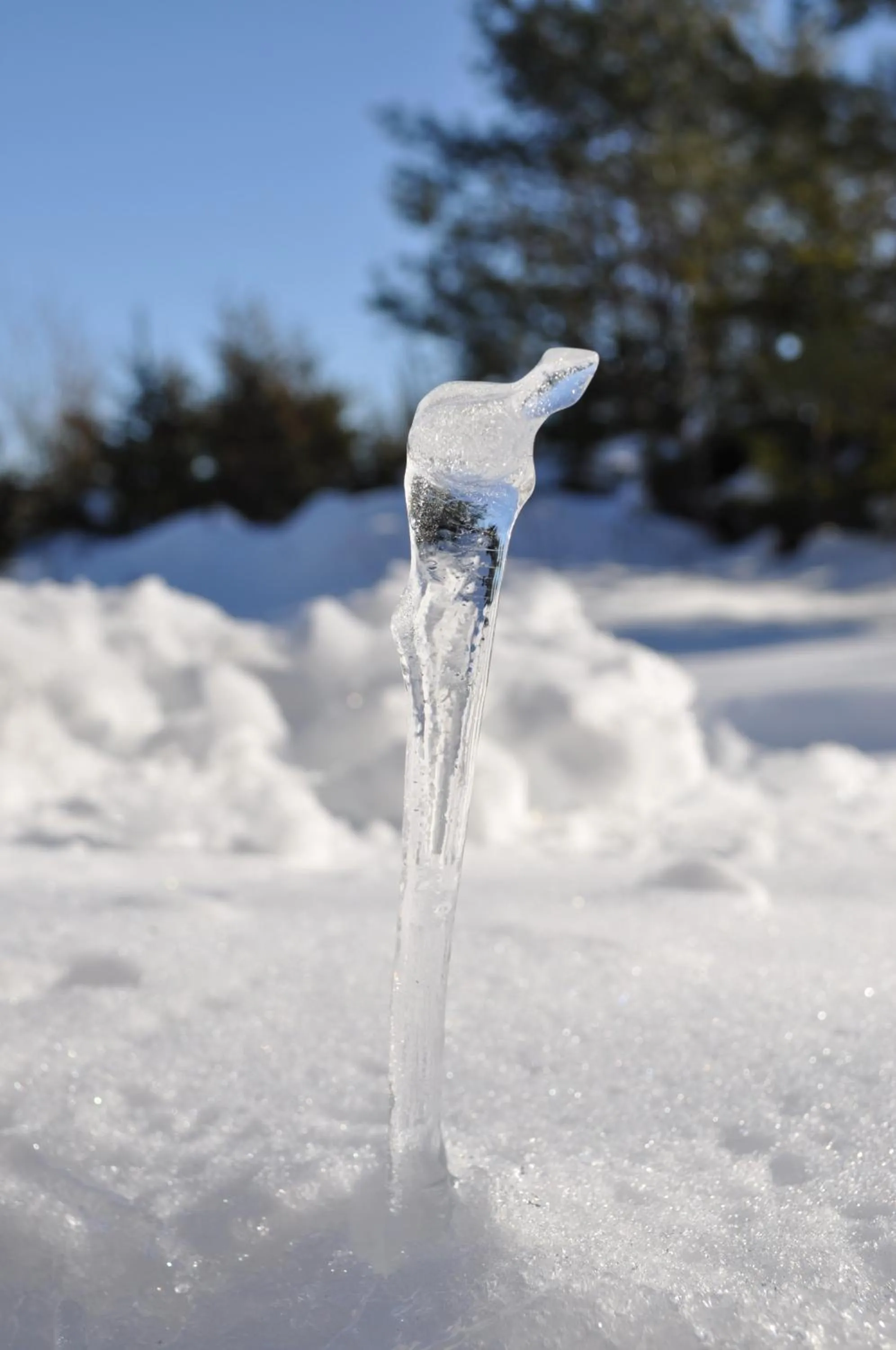 Decorative detail in The Sleeping Moose Cottage