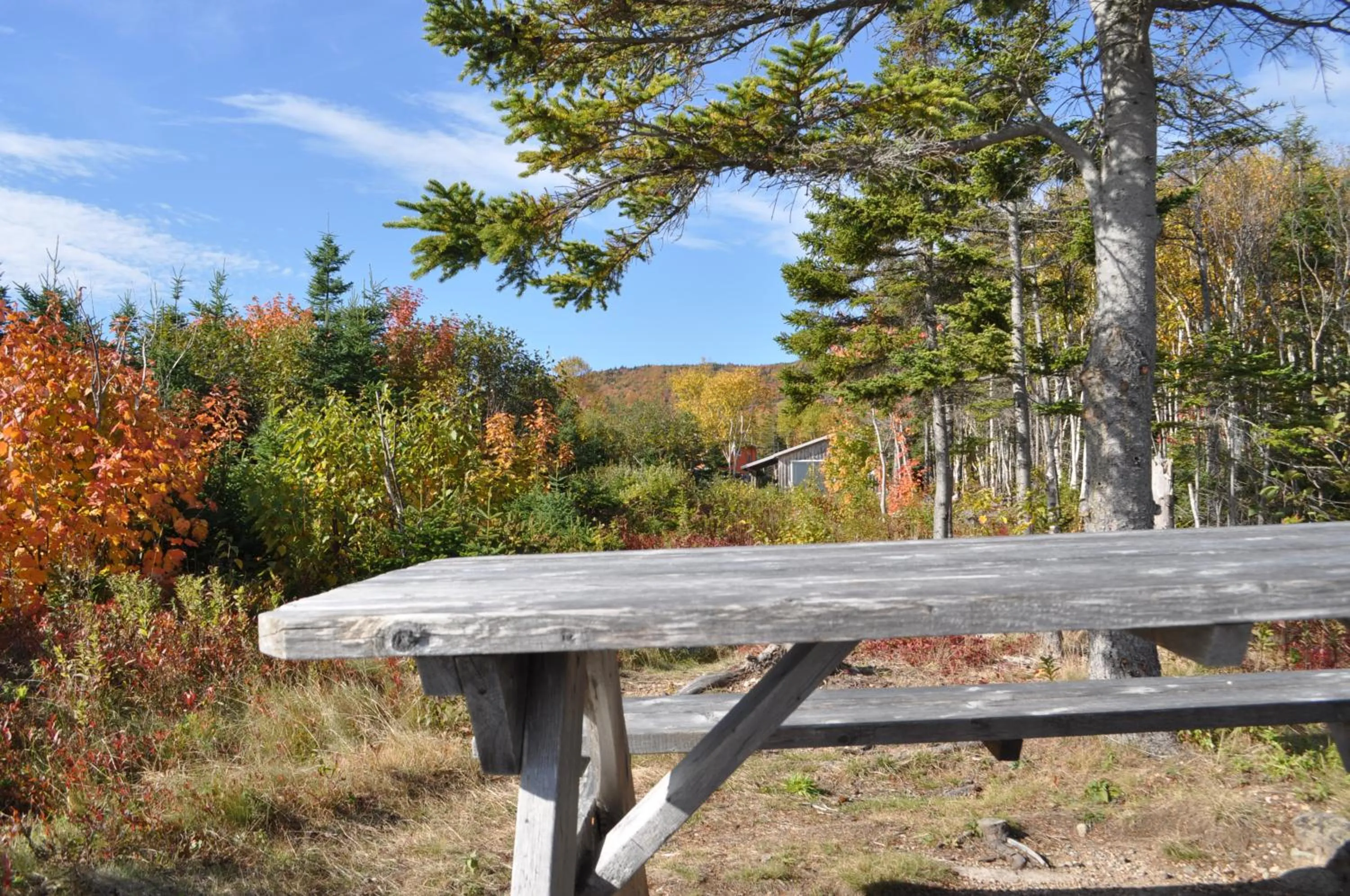Garden in The Sleeping Moose Cottage
