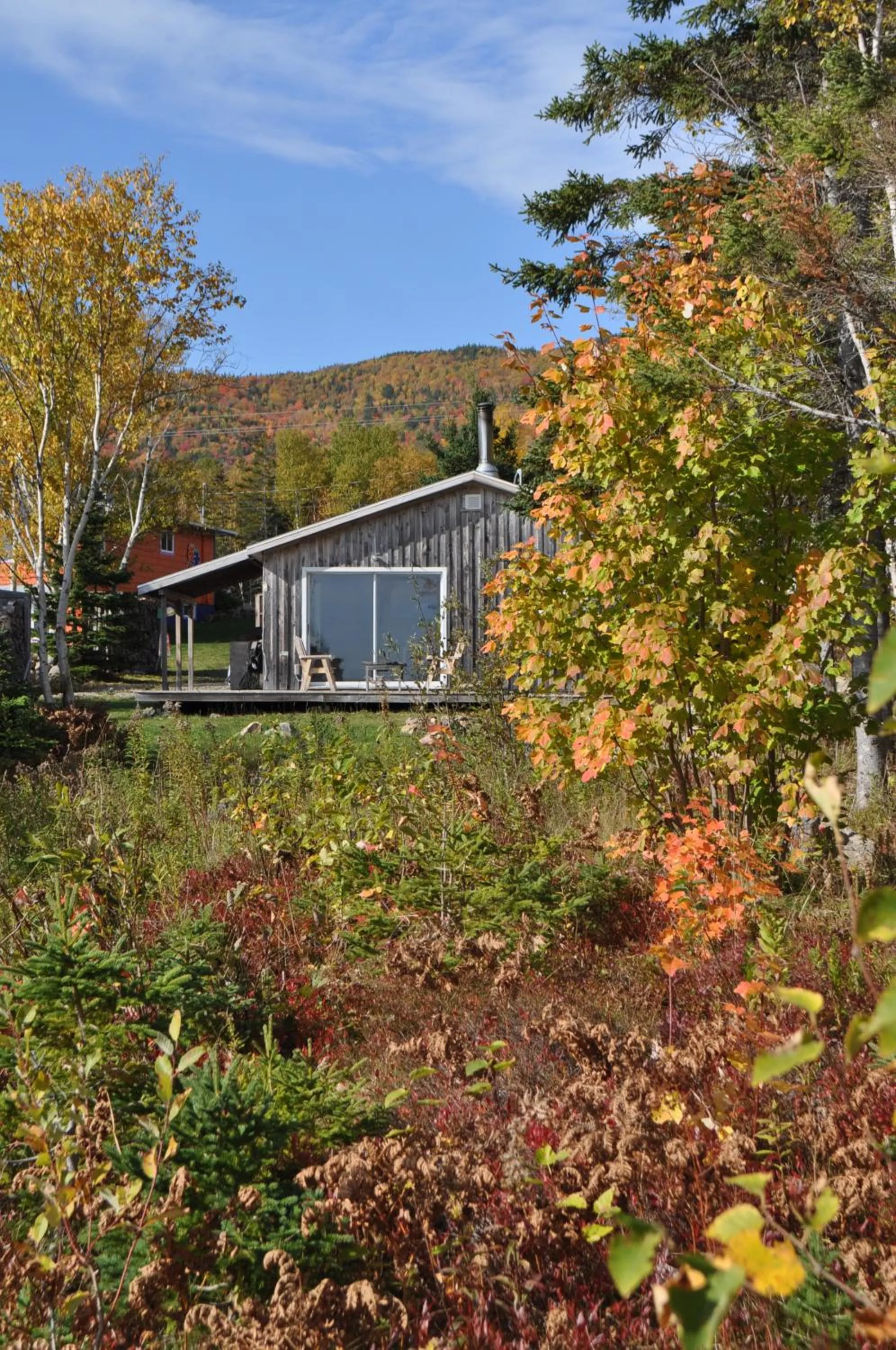 Garden in The Sleeping Moose Cottage