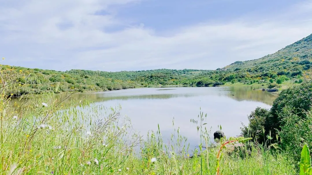 Lake view in Residence Hotel Monte Ricciu