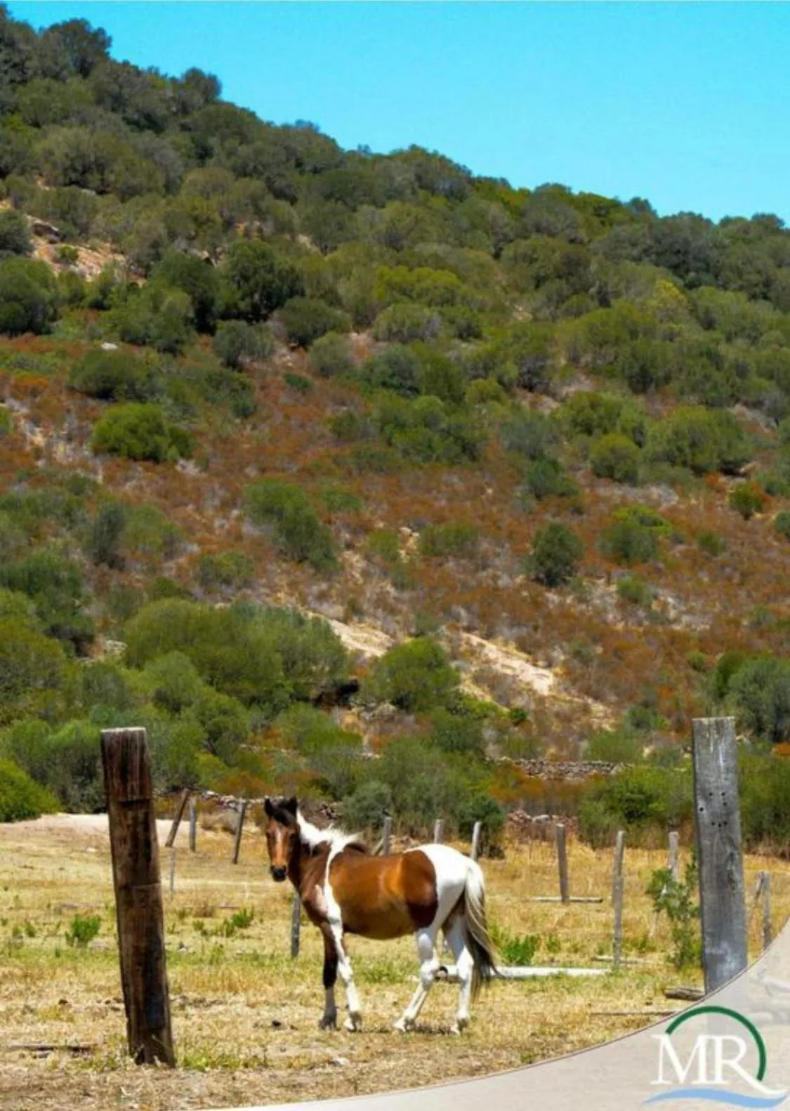 Nearby landmark in Residence Hotel Monte Ricciu