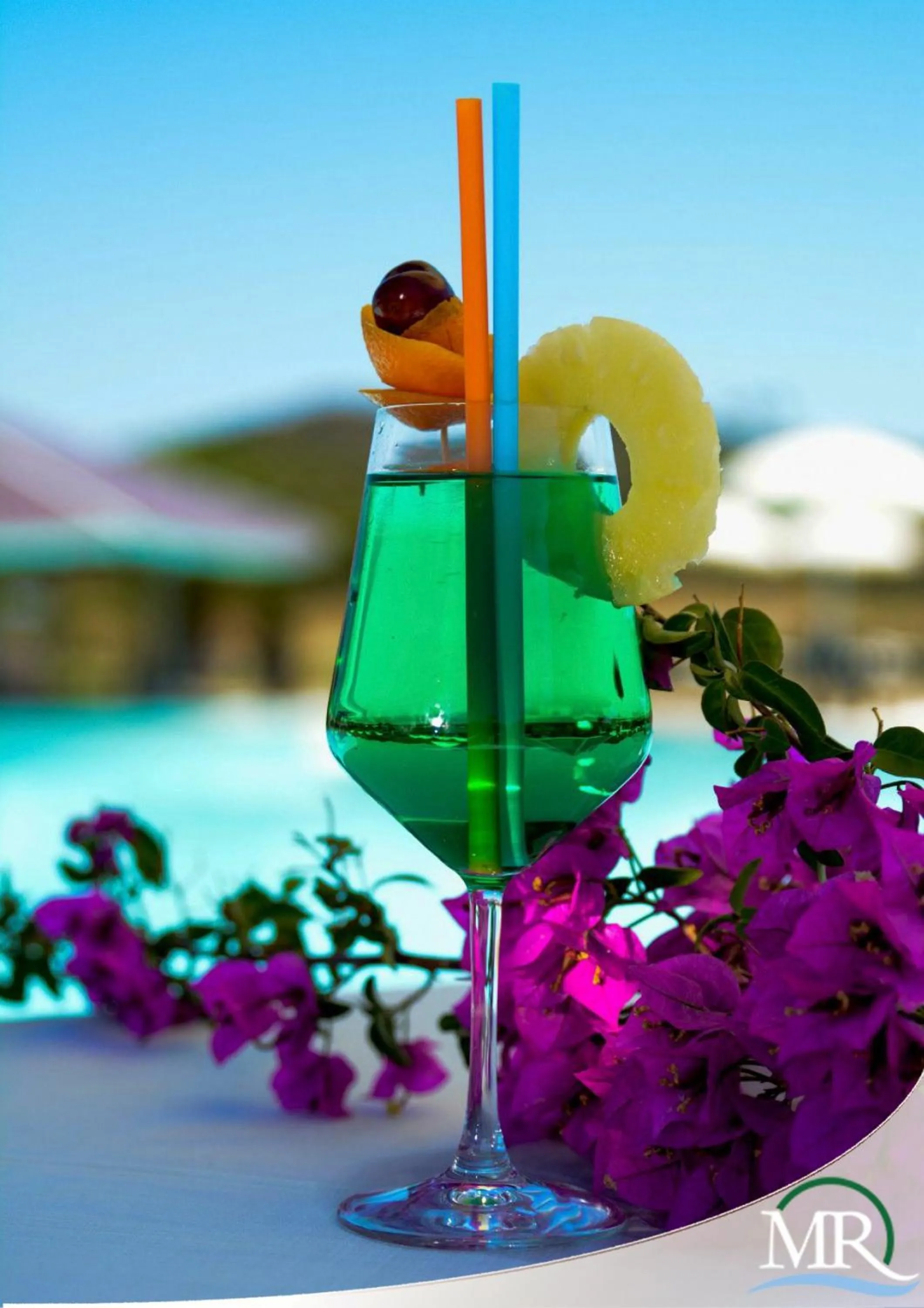 Alcoholic drinks in Residence Hotel Monte Ricciu