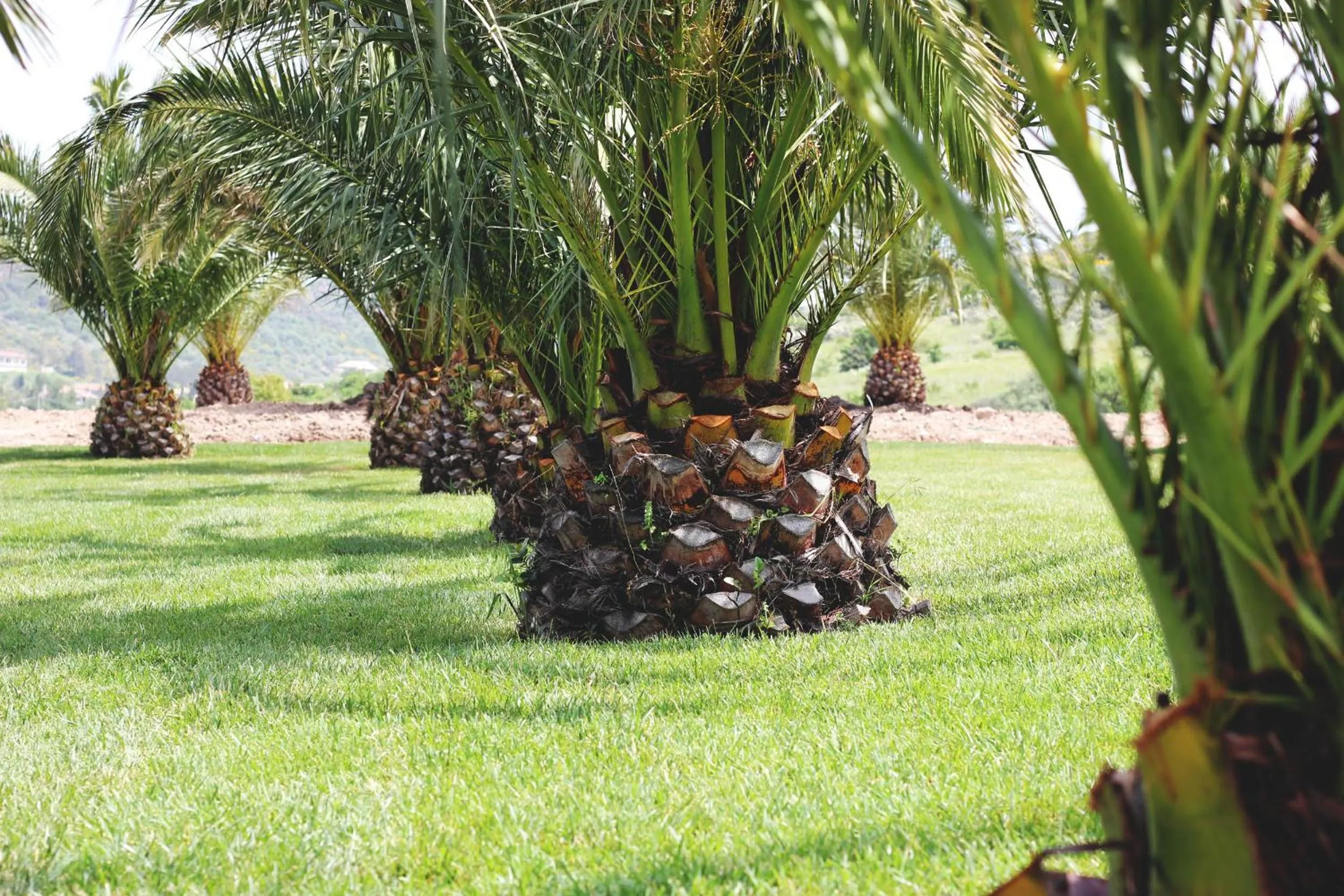 Children play ground in Residence Hotel Monte Ricciu