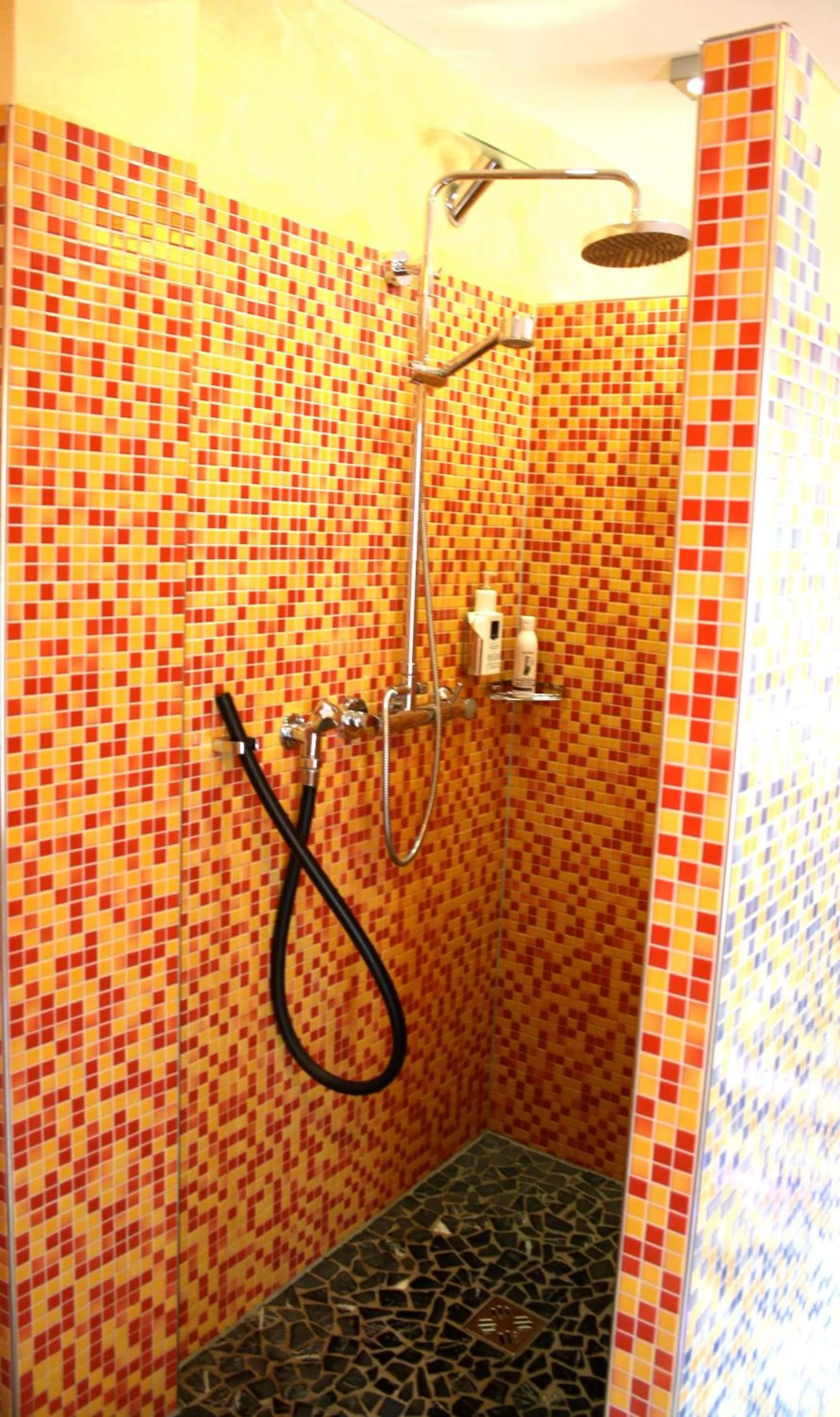 Shower in Hotel Garni Elegant