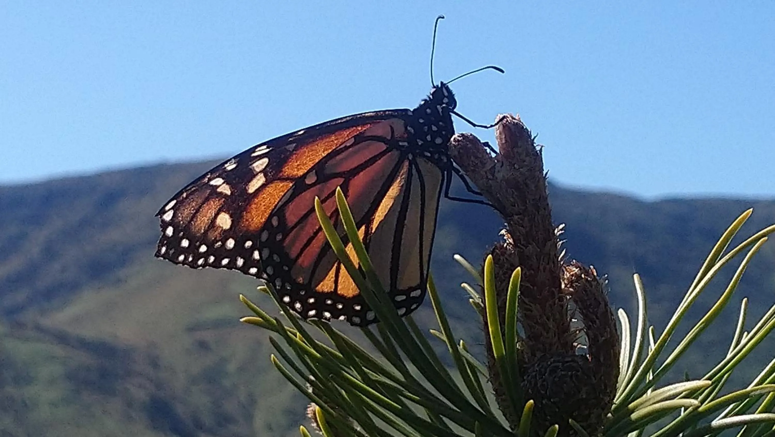 Property building in Port Levy B & B Christchurch