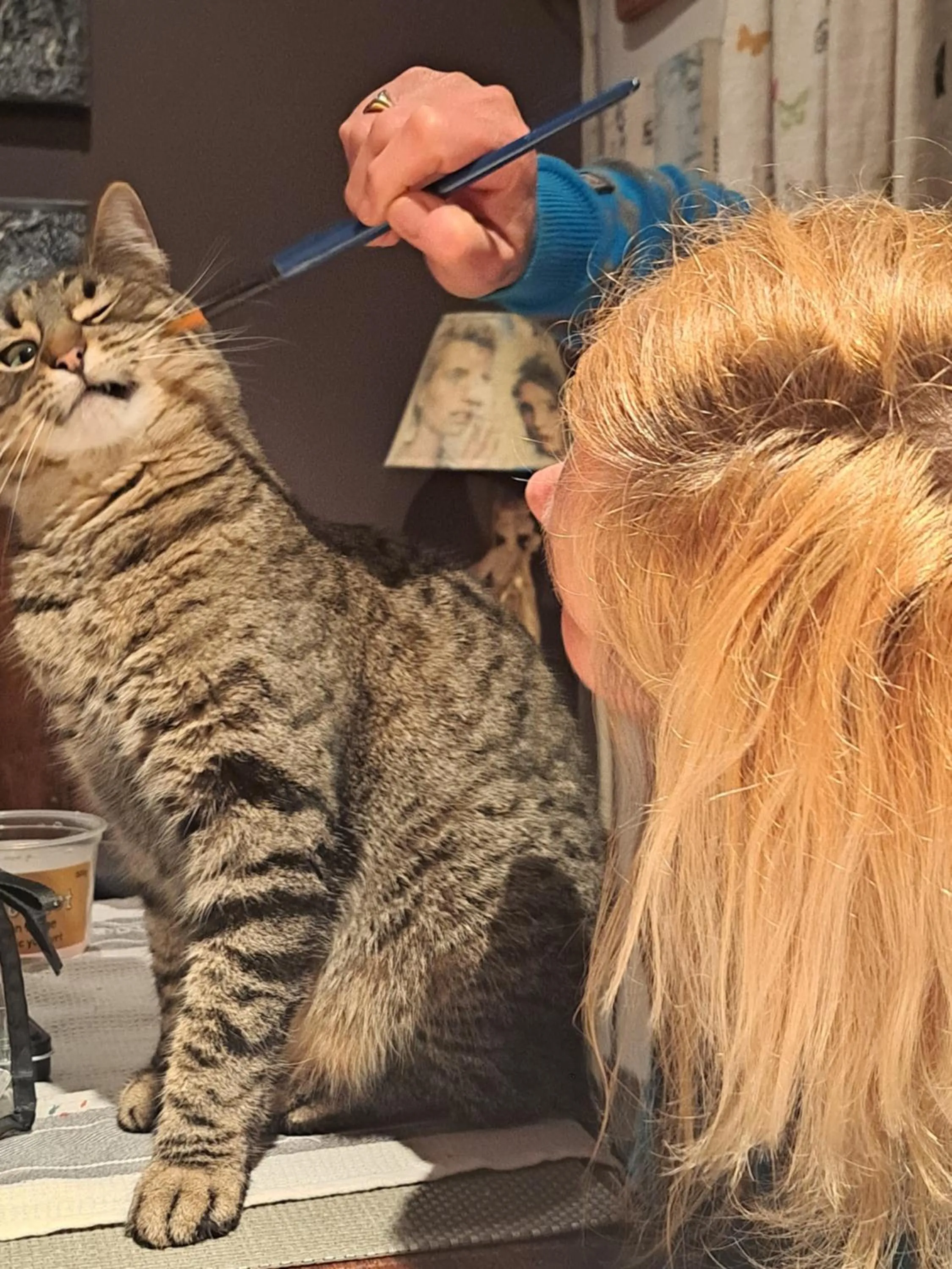 Pets in Port Levy B & B Christchurch