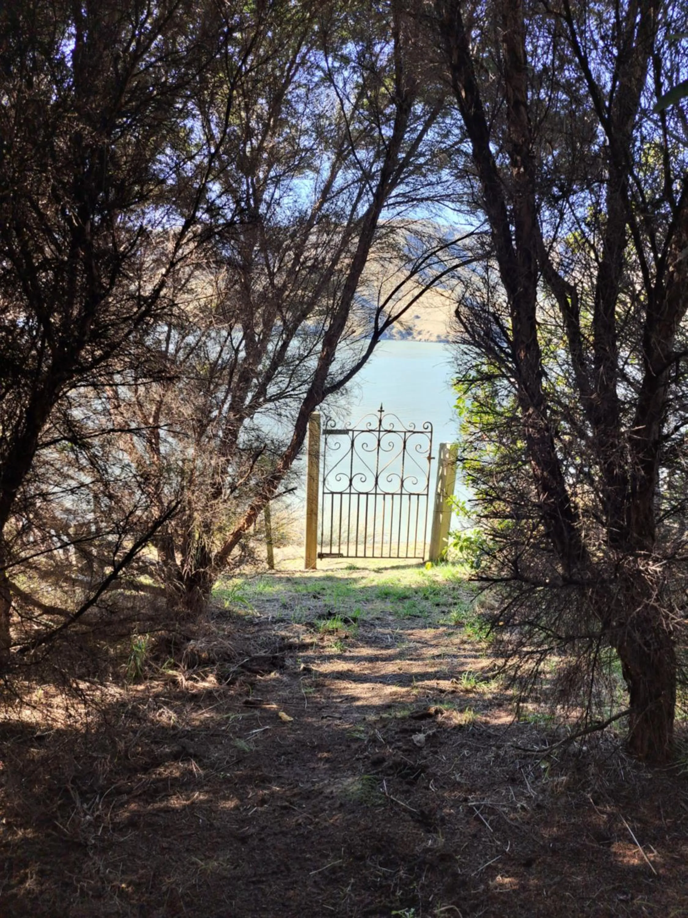 Garden view in Port Levy B & B Christchurch