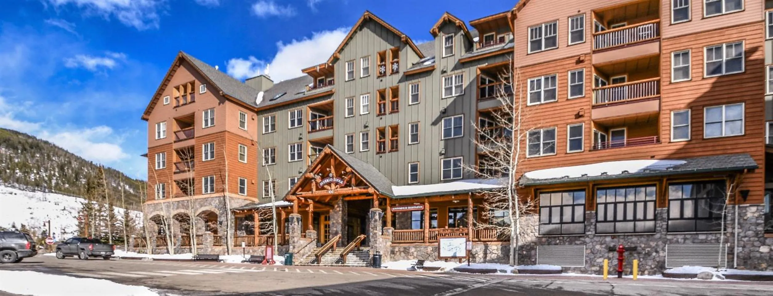 Buffalo Lodge 8419 by SummitCove Lodging