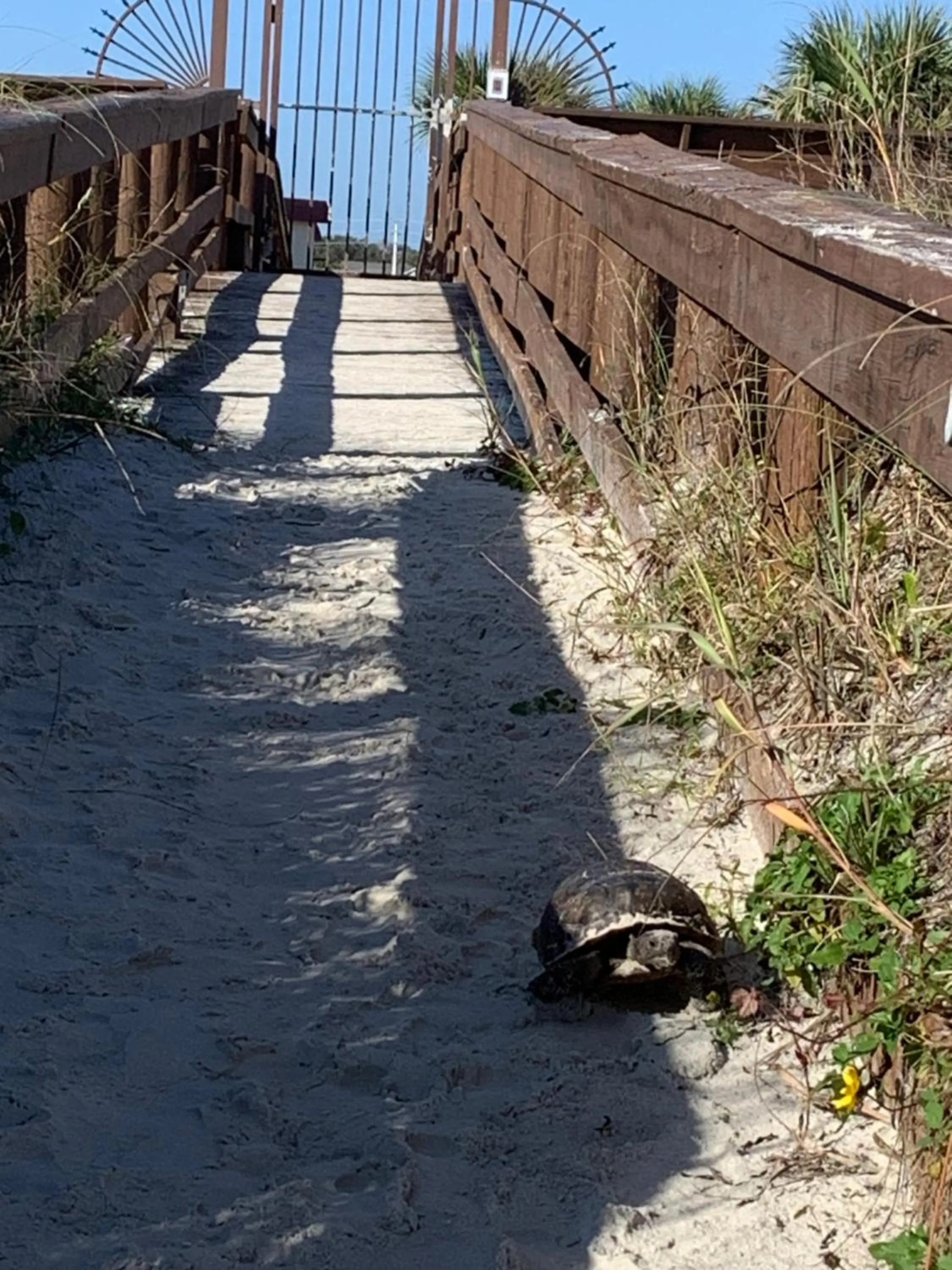 St. Augustine Ocean & Racquet Resort