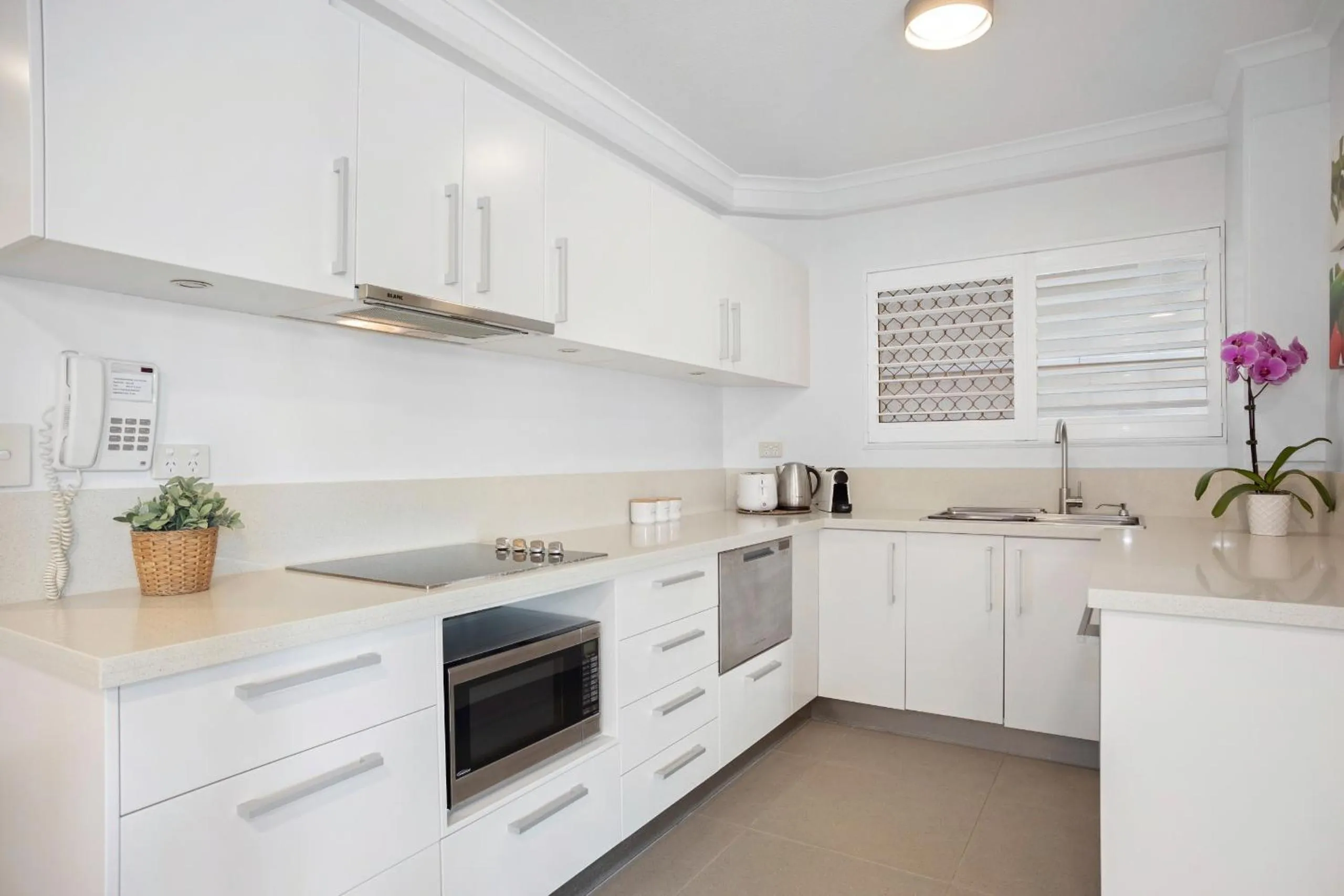 Kitchen or kitchenette in #2 Hastings Street
