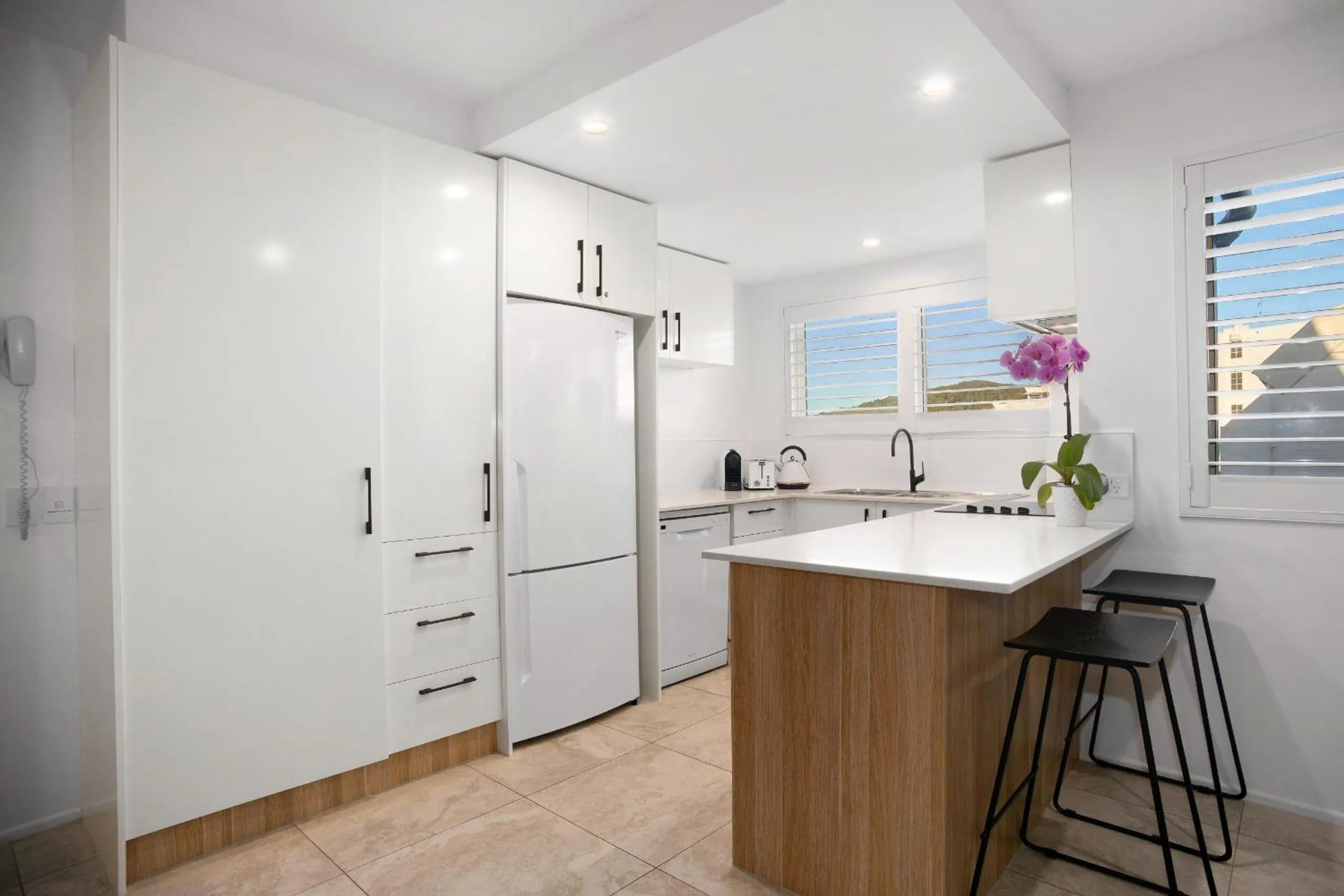 Kitchen or kitchenette in #2 Hastings Street