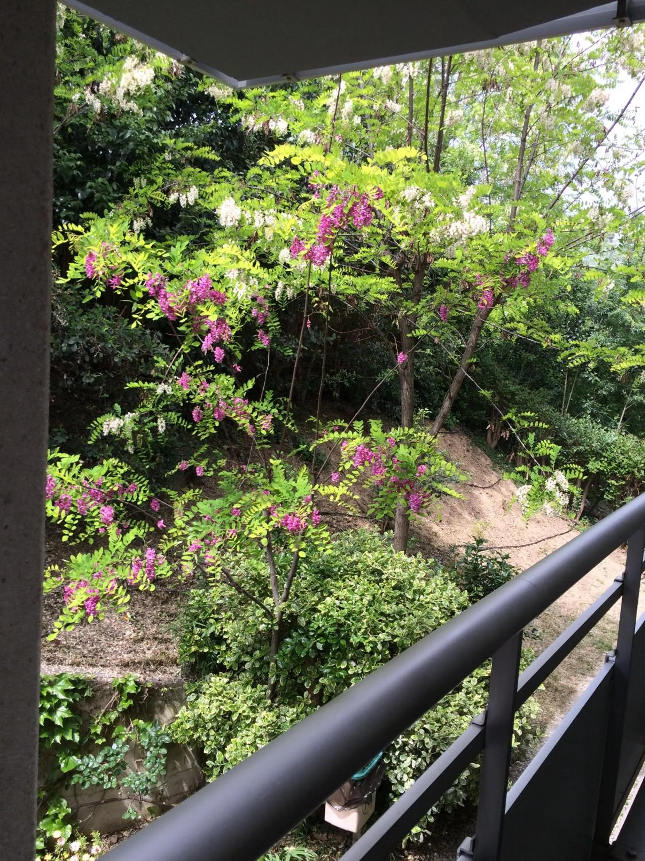 Natural landscape in Premiere Classe Marseille La Valentine