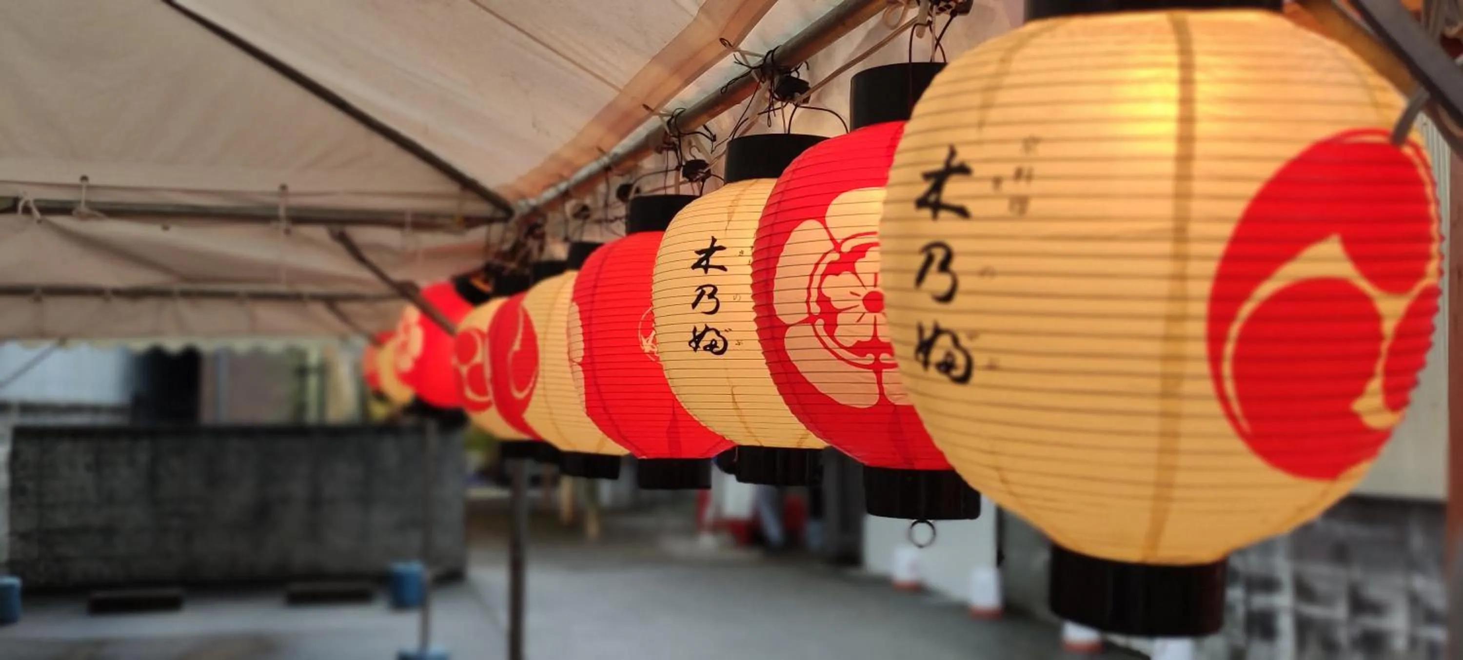 Neighbourhood in Iwatoyama Hostel