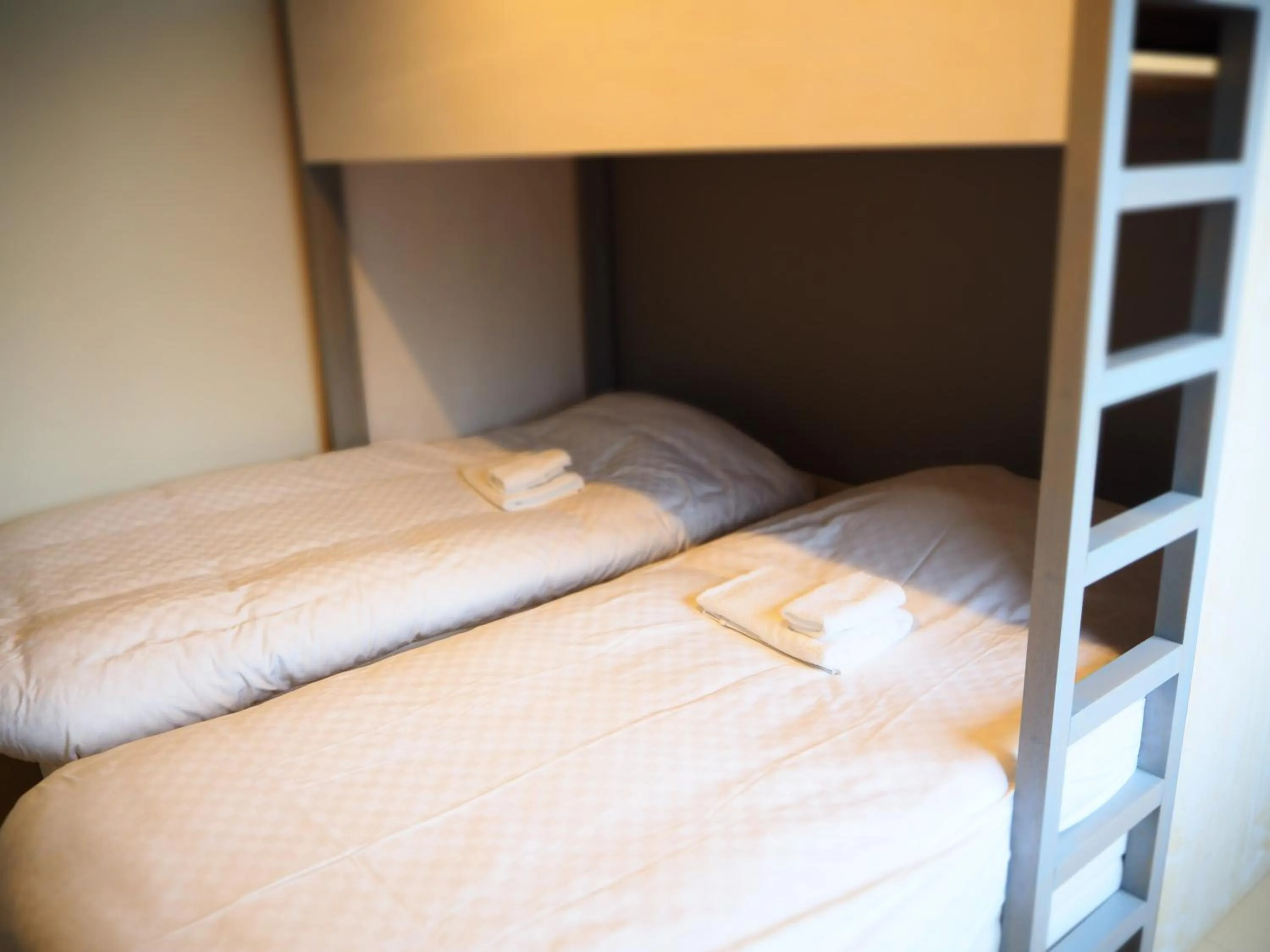 Photo of the whole room, Bed in Iwatoyama Hostel