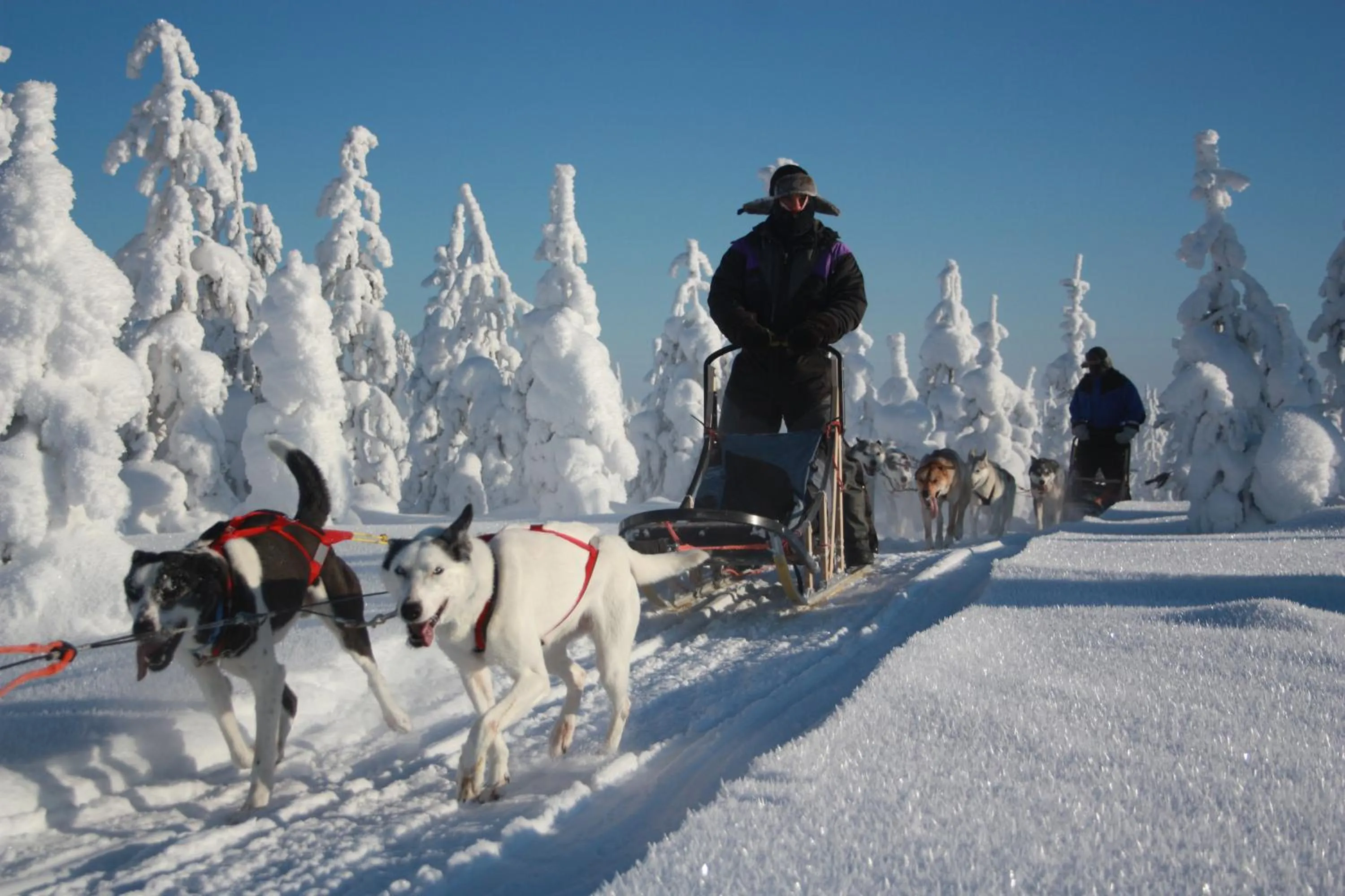 Natural landscape in KIDE hotel by Iso-Syöte