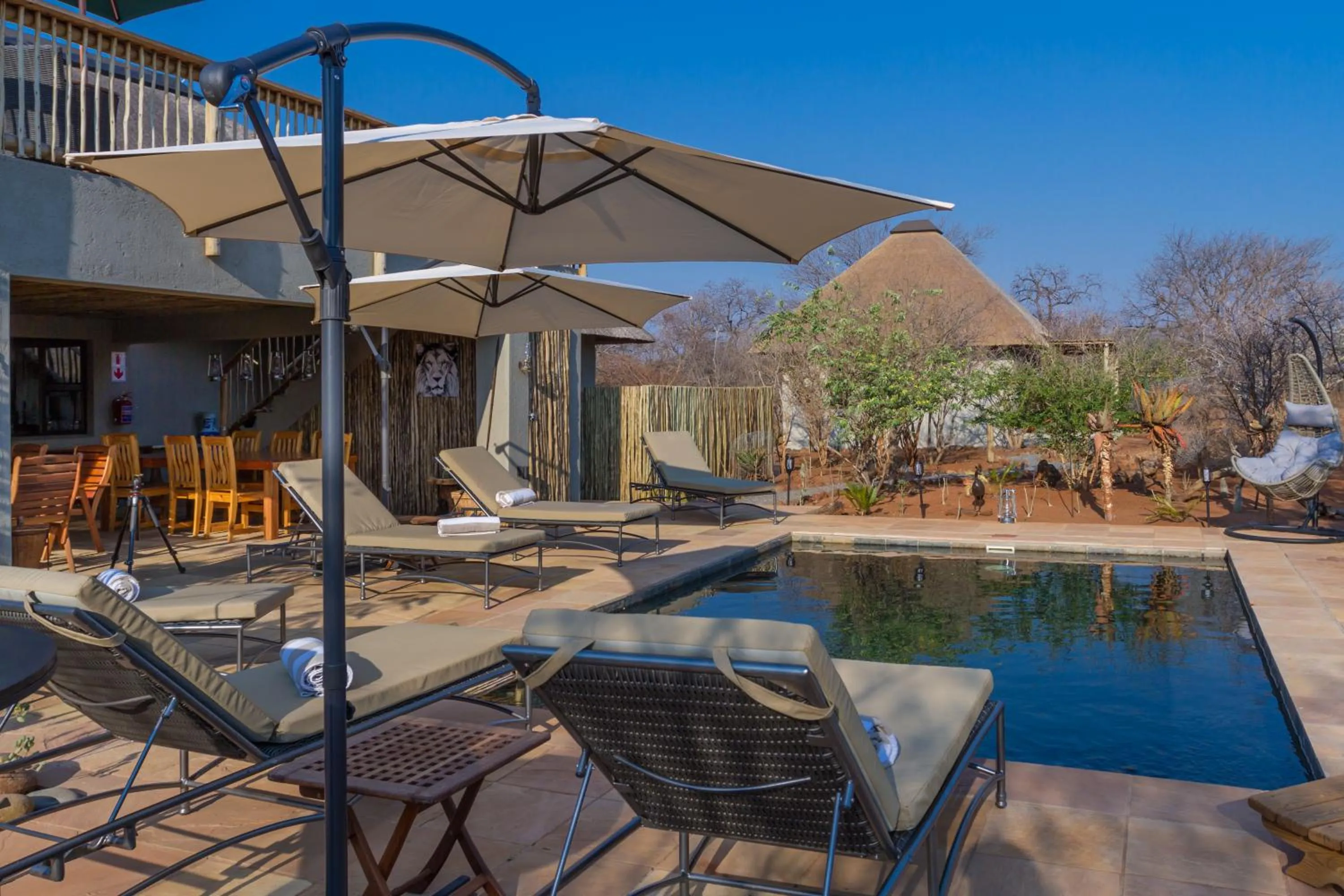Pool view in Ukuthula Bush Lodge
