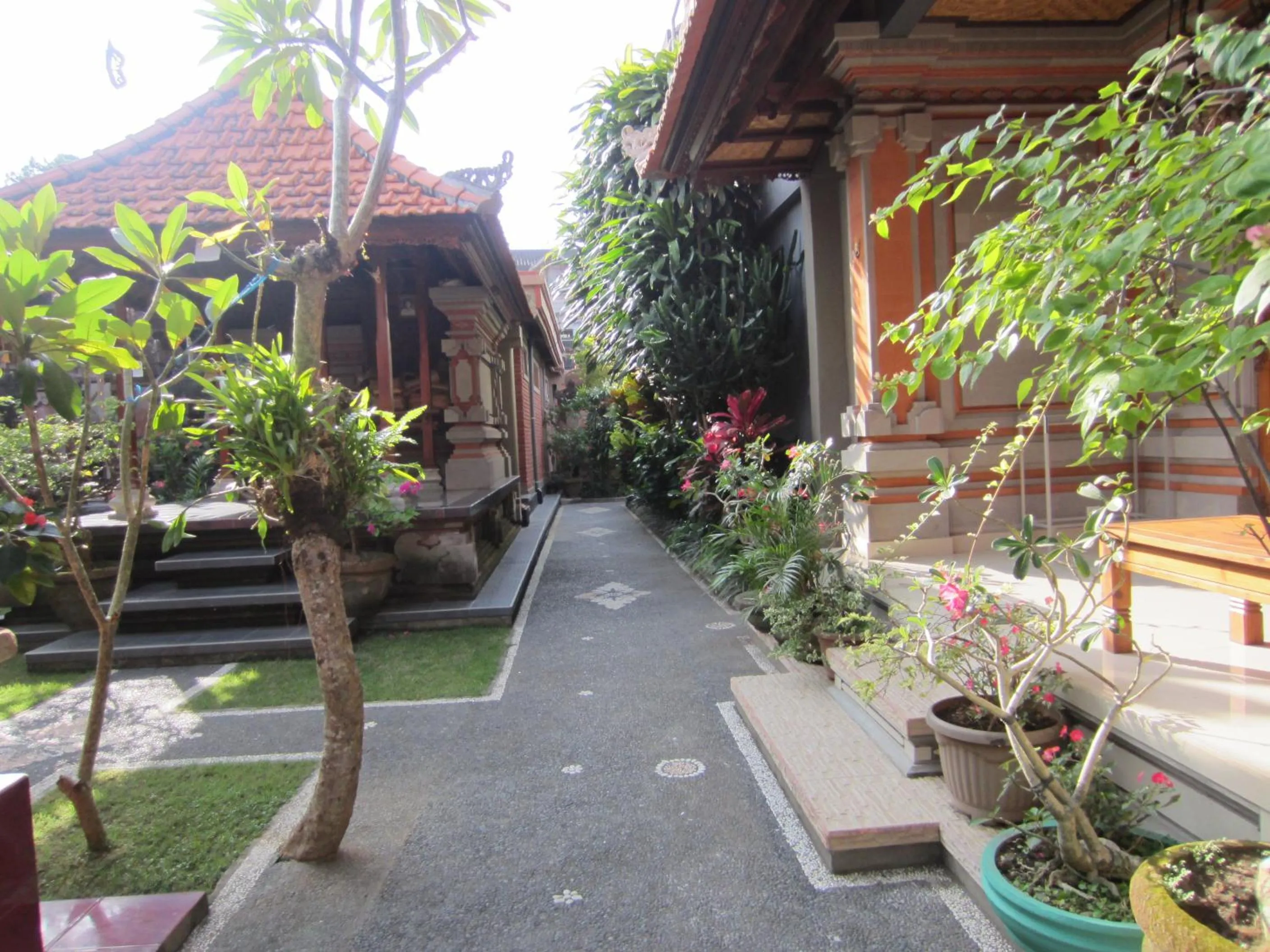 Garden in Danasari Homestay