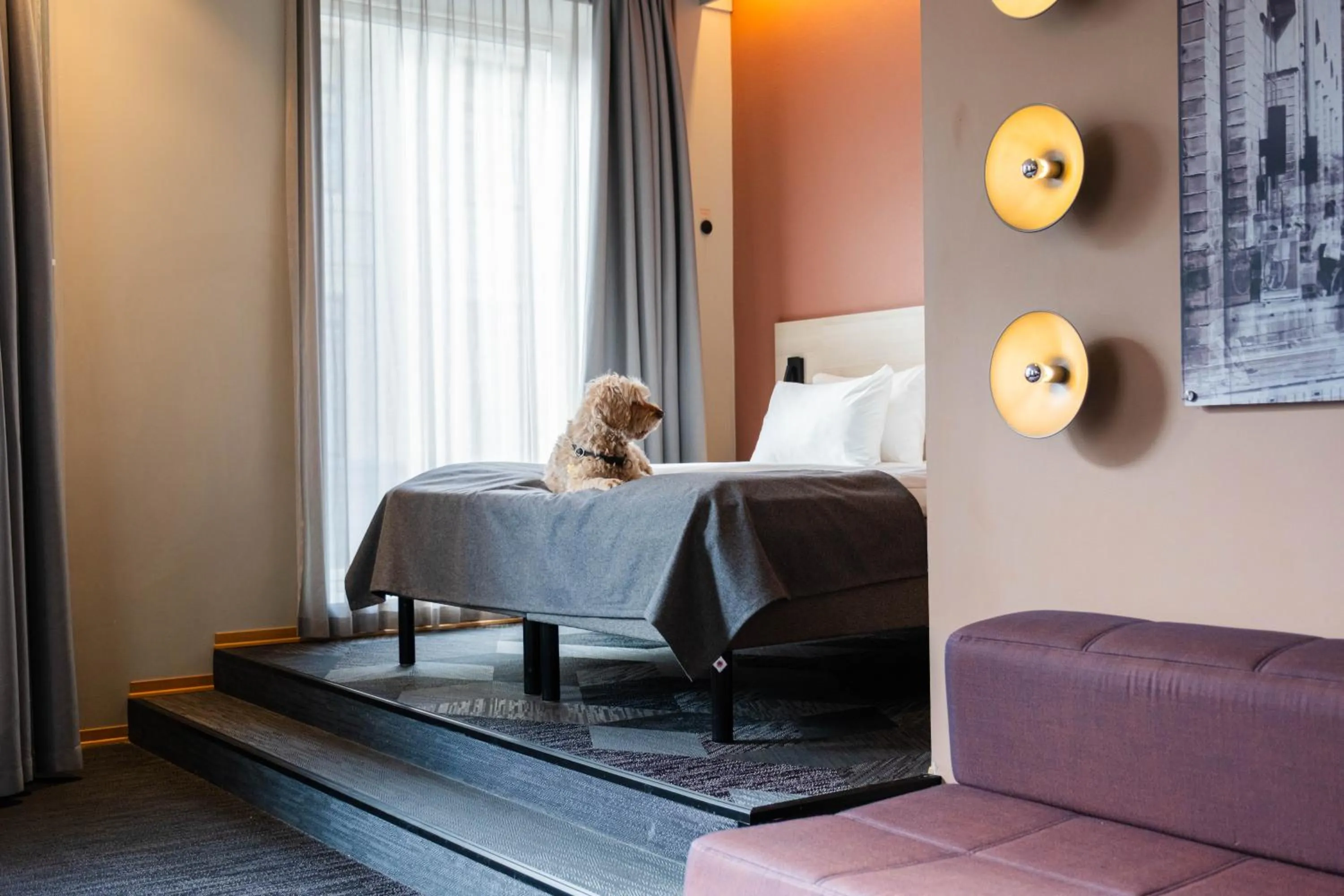 pet friendly in Citybox Oslo