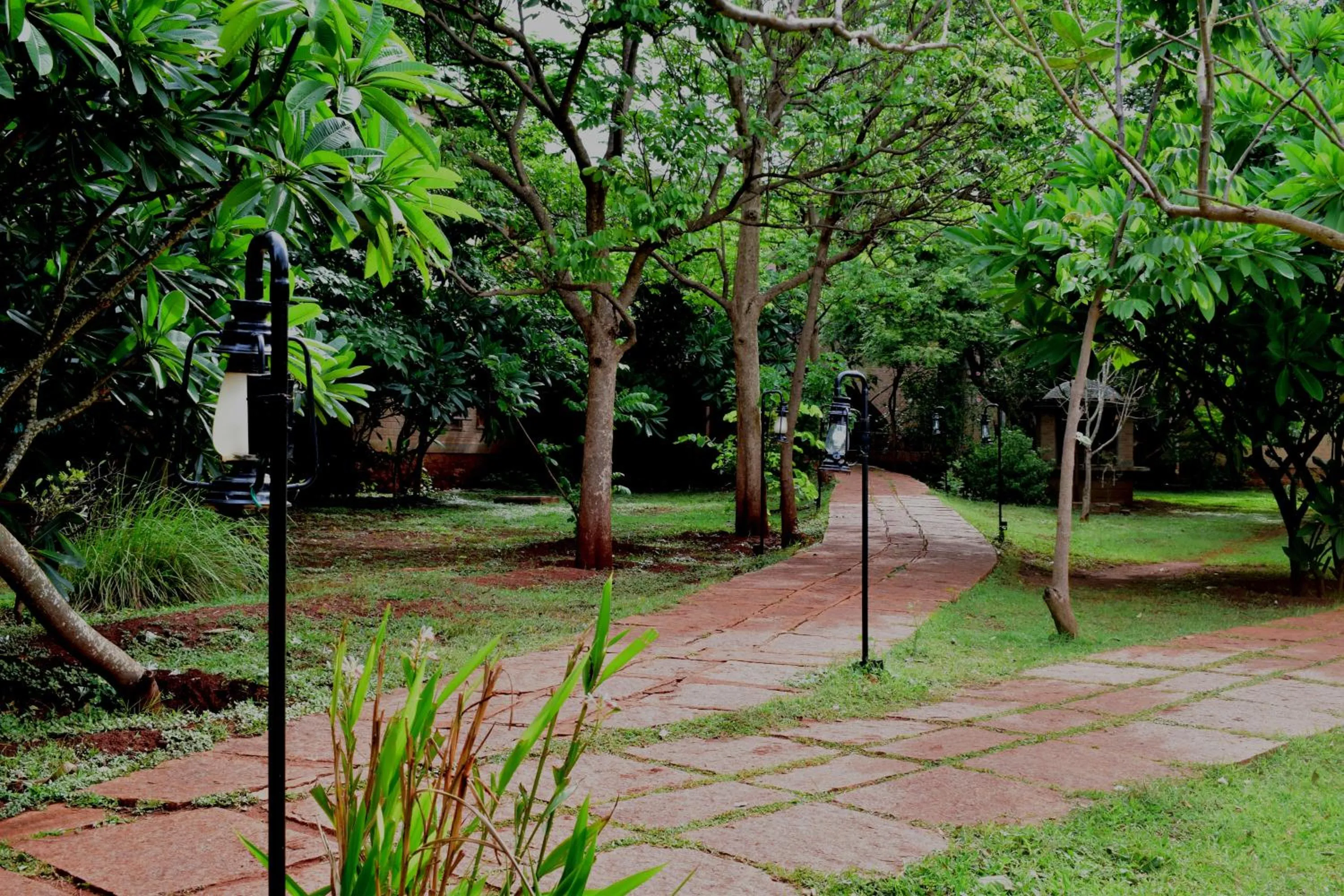 Garden in Our Native Village