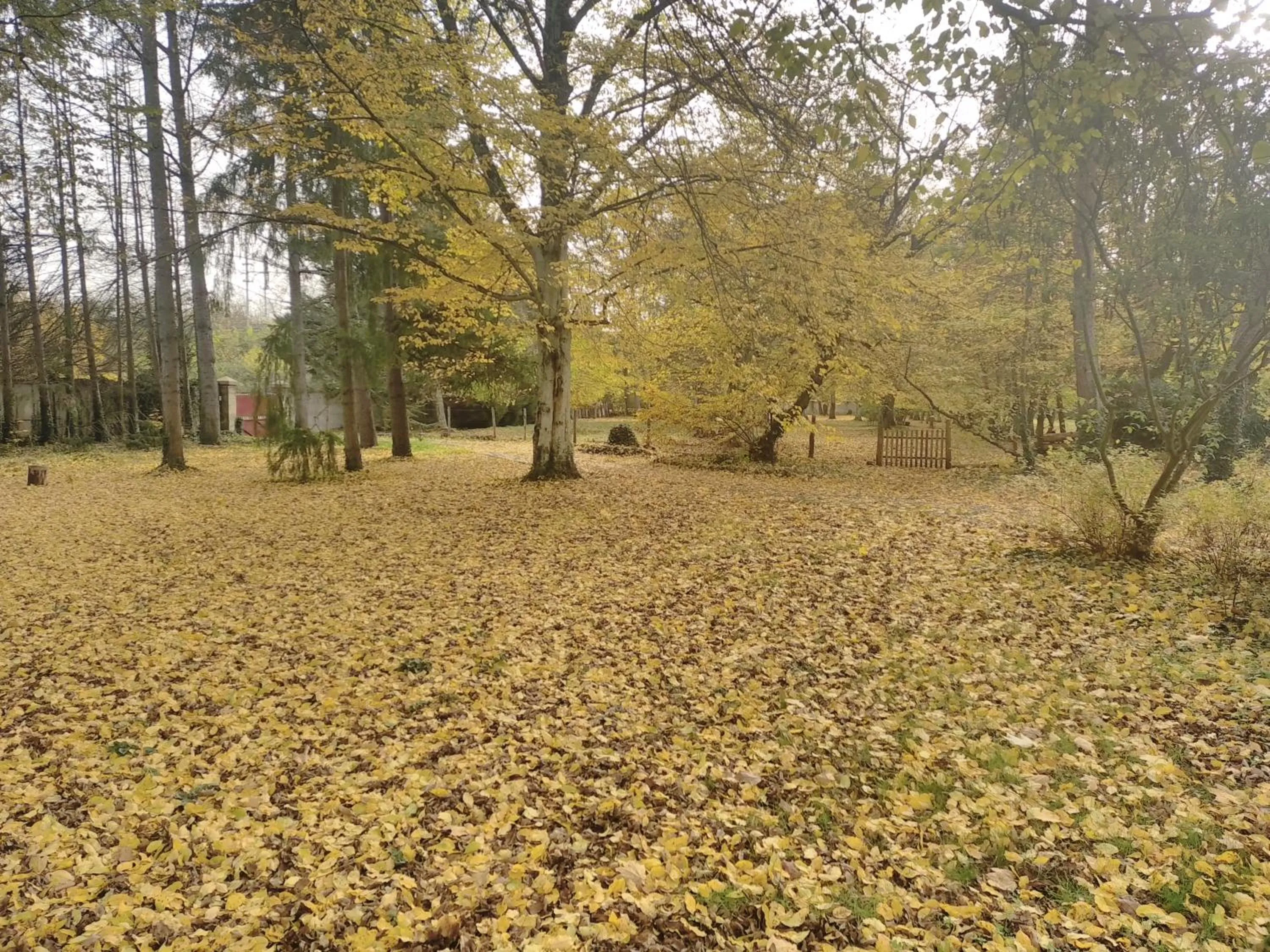 Garden in La Passagere