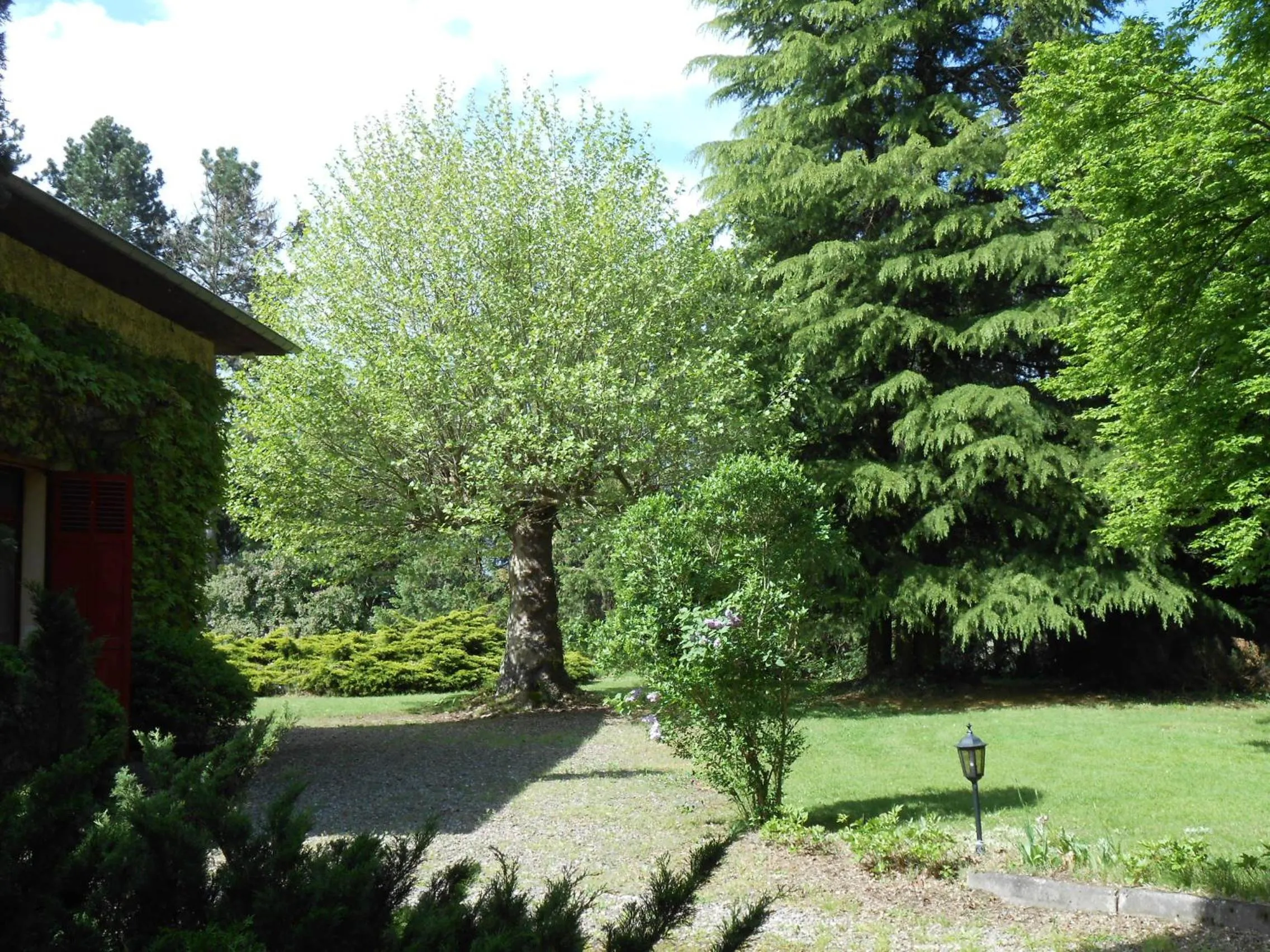 Garden in La Passagere