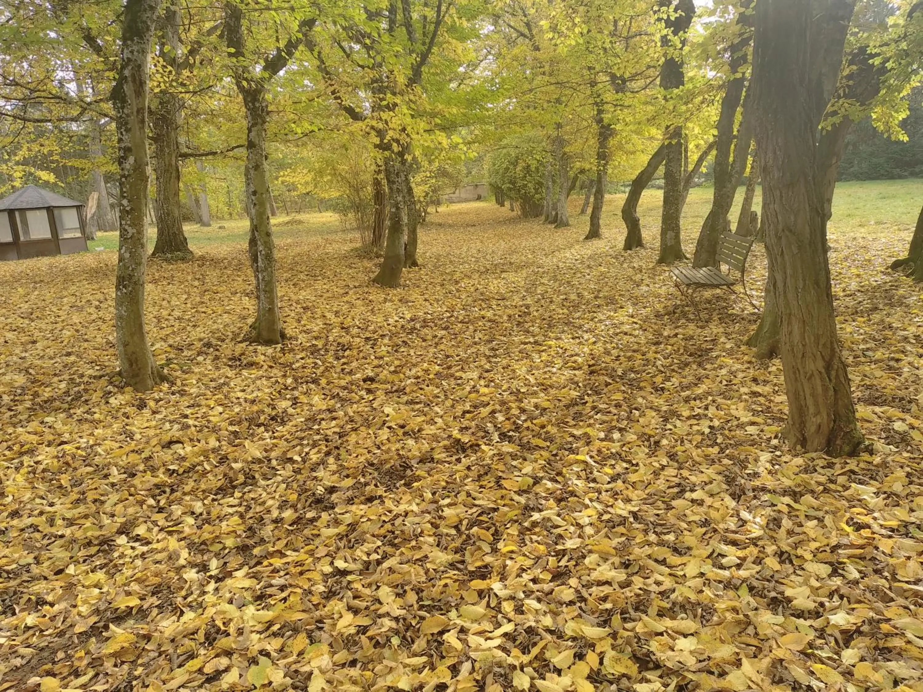 Garden in La Passagere