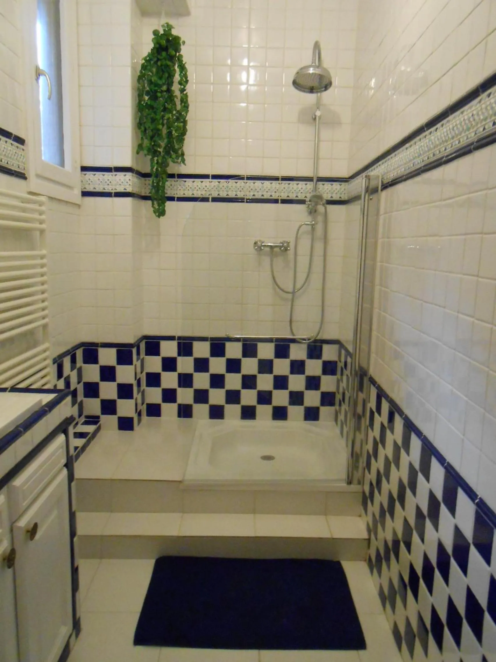 Shower in La Passagere