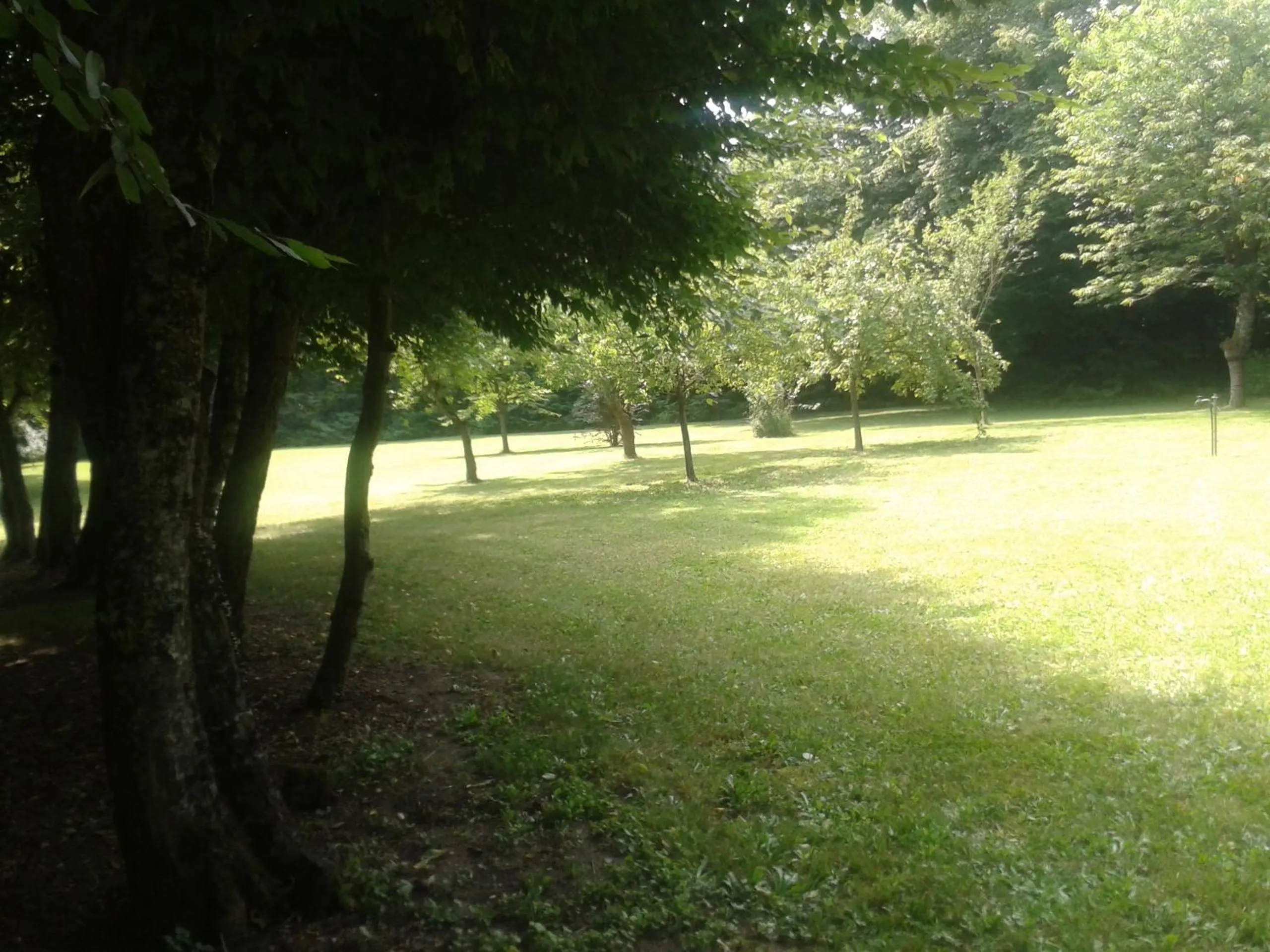 Garden in La Passagere