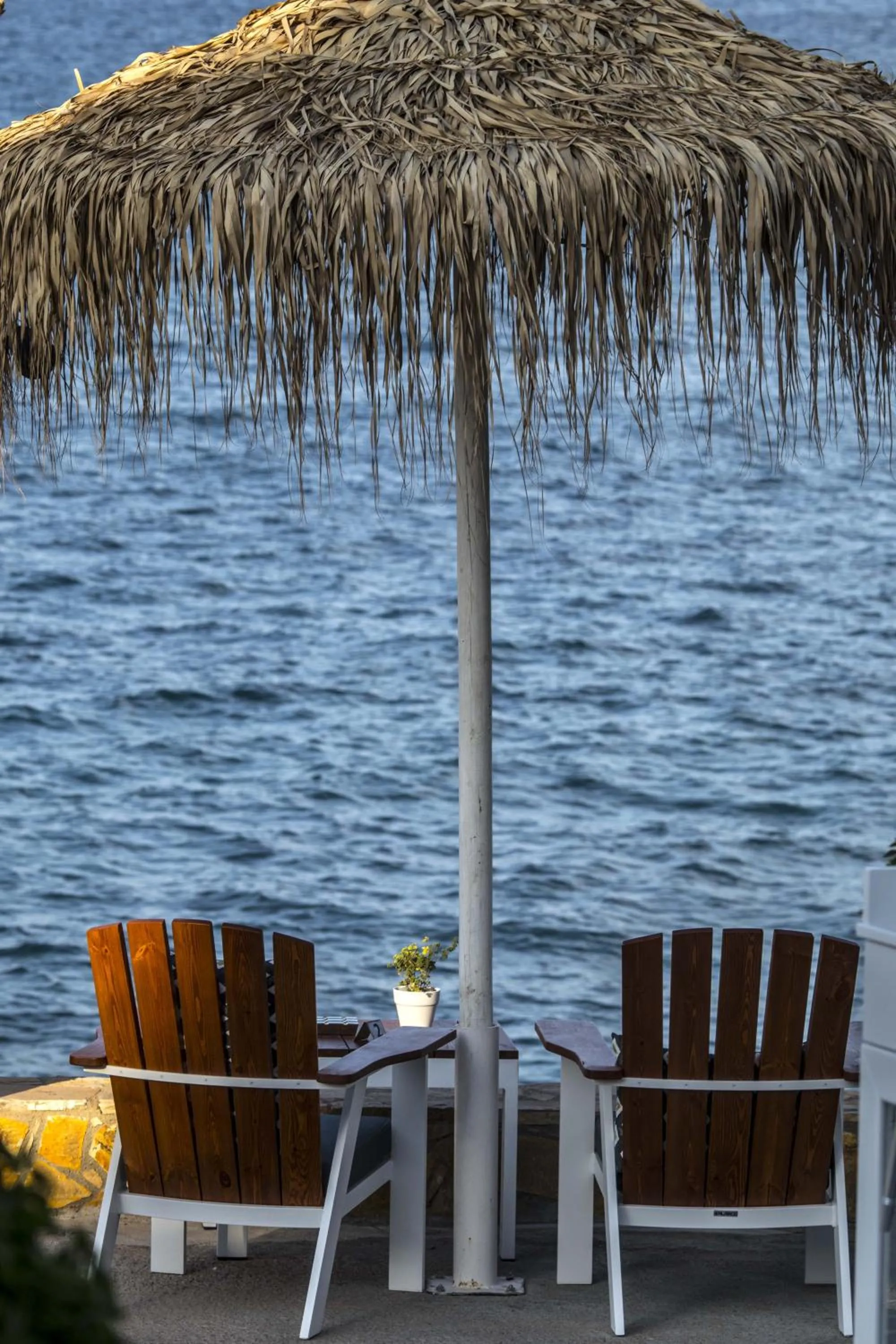 Beach in Glaros Royal Beach Hotel