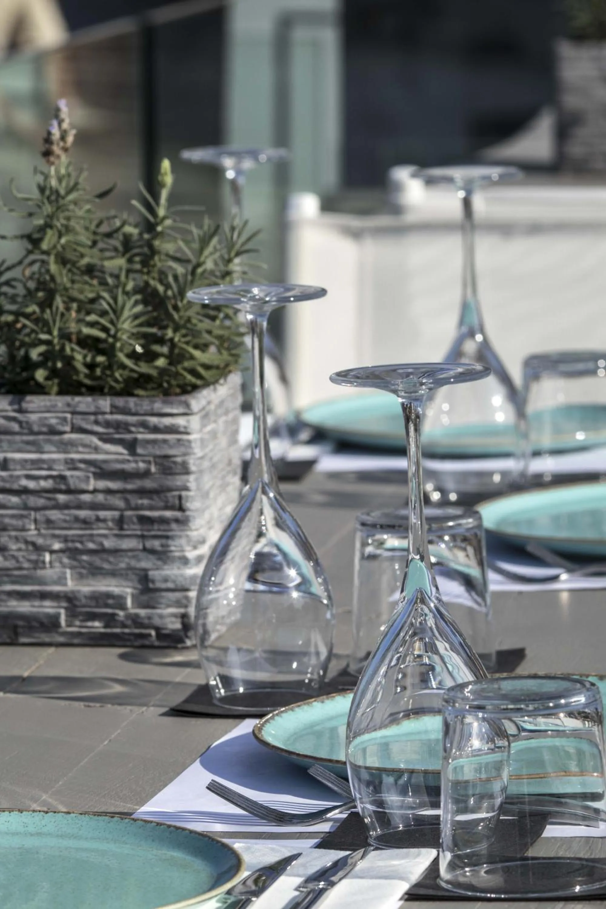 Day in Glaros Royal Beach Hotel