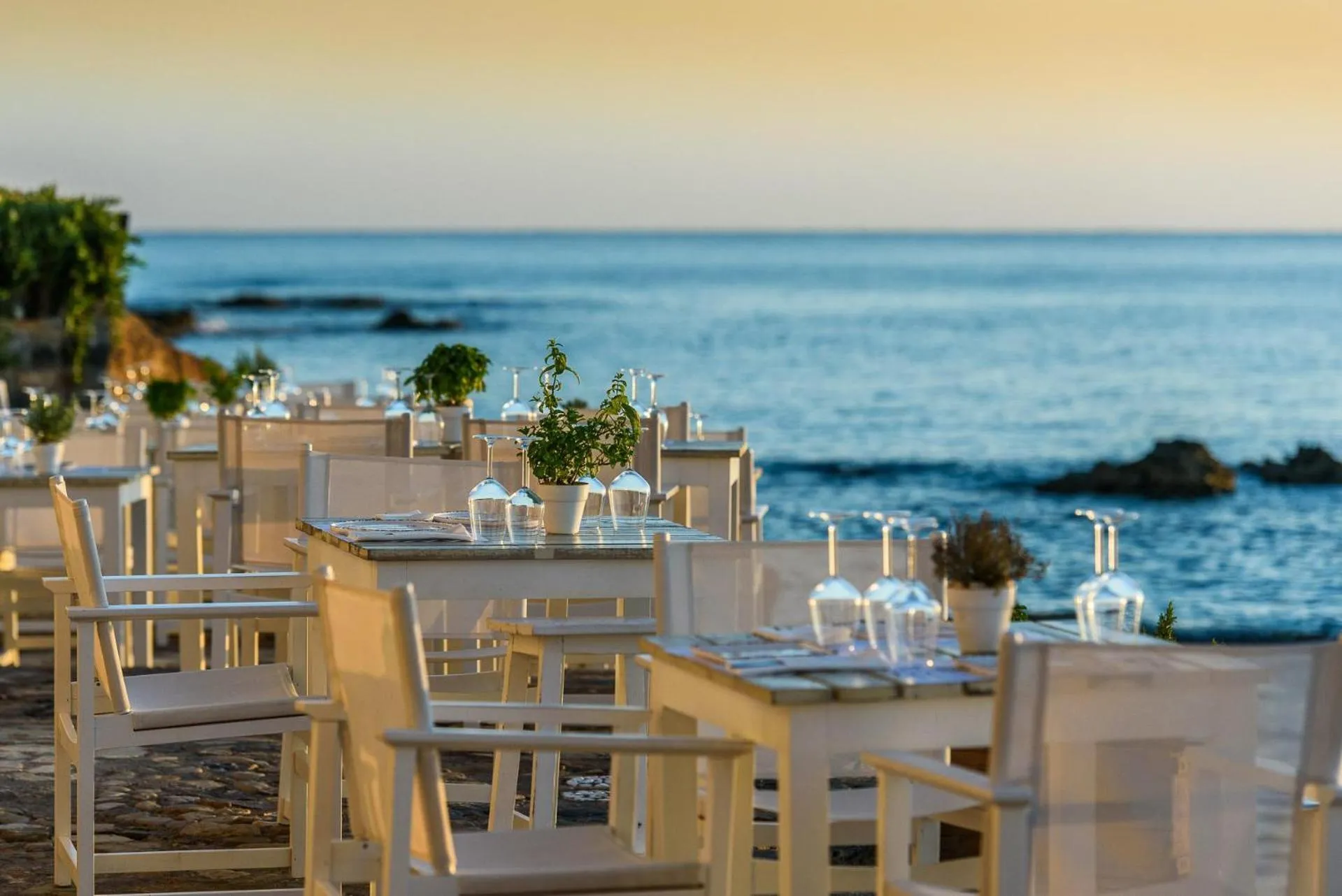 Restaurant/places to eat in Glaros Royal Beach Hotel