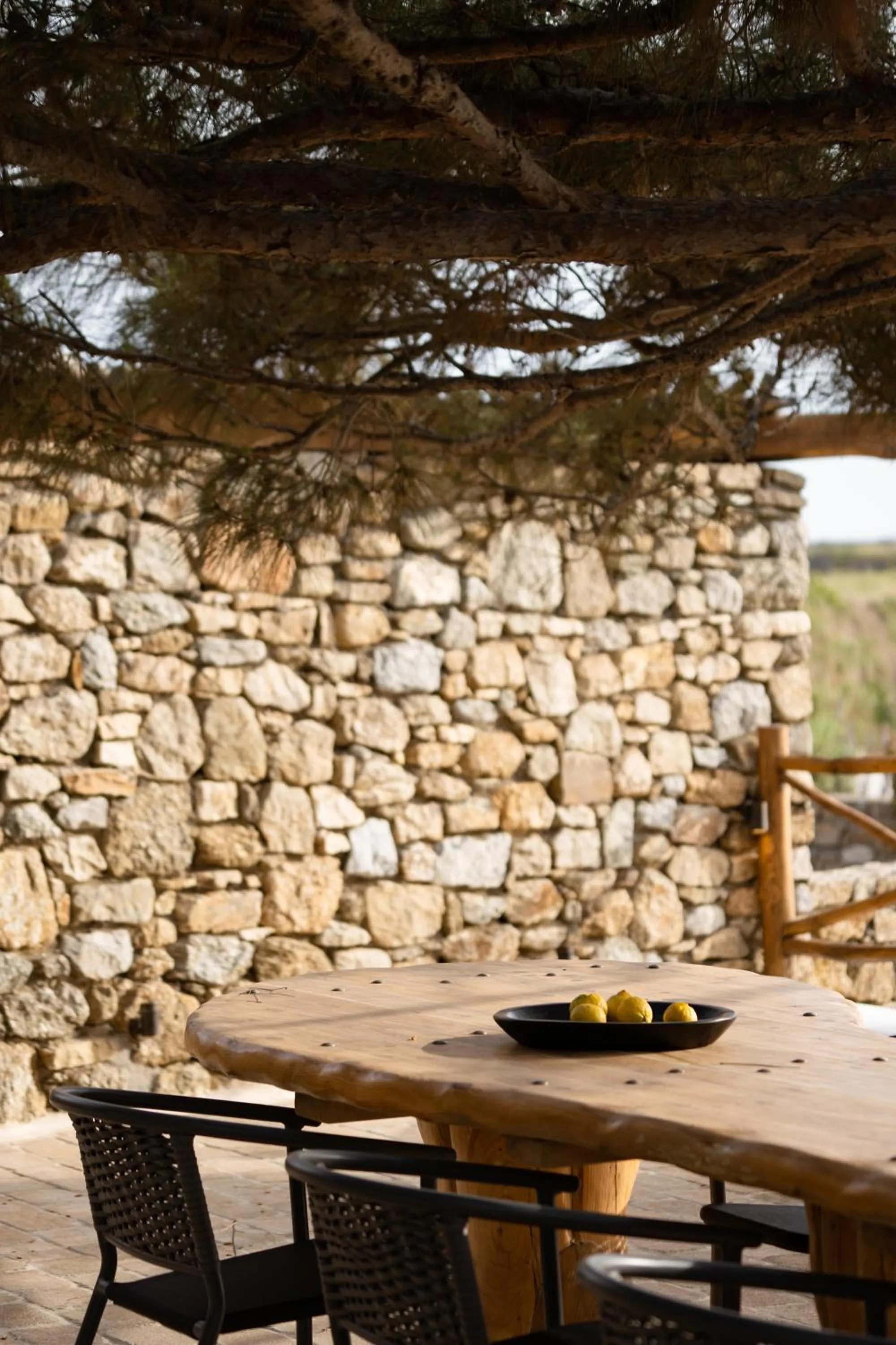 Natural landscape in Ikies of Mykonos