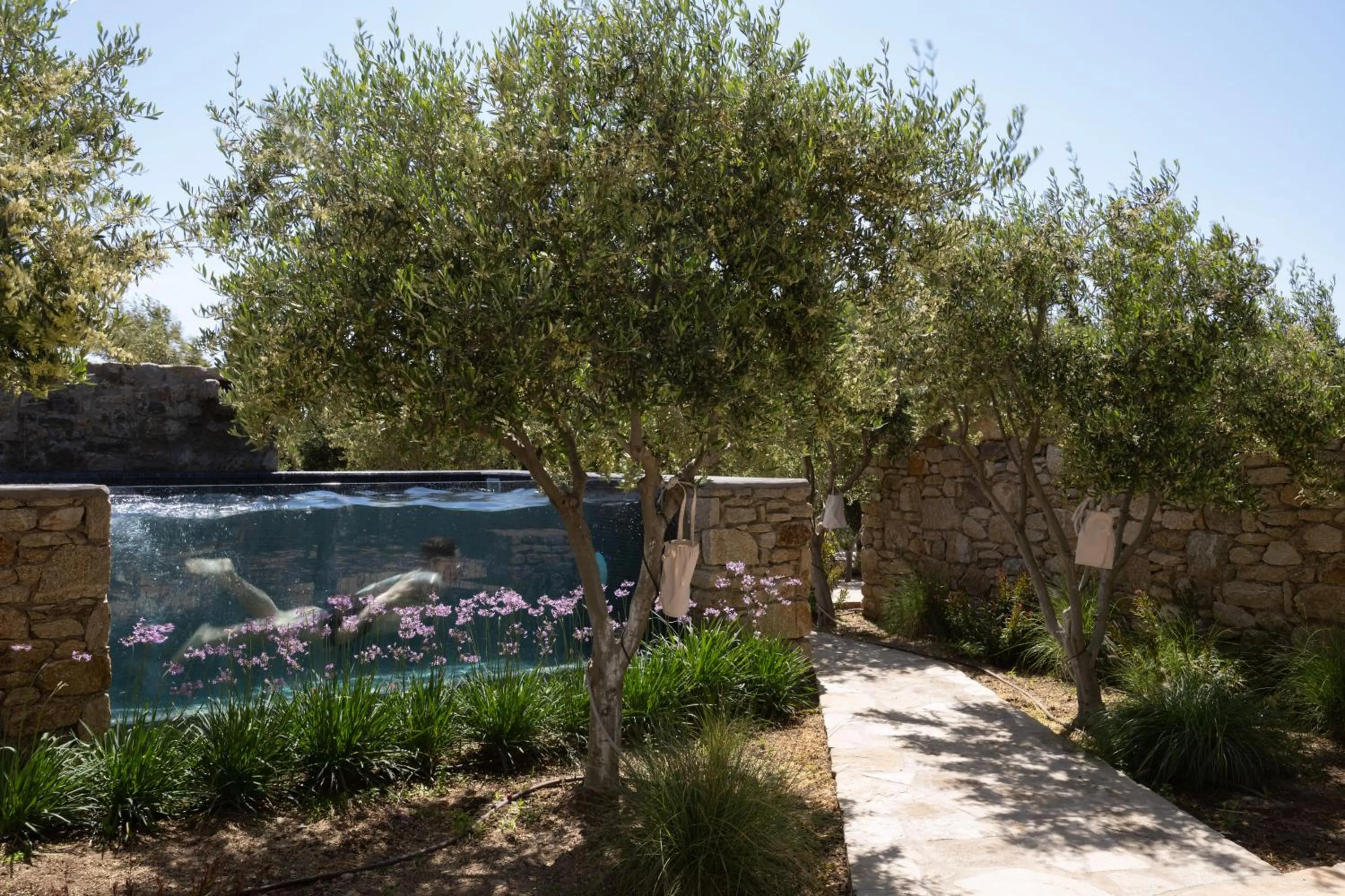 Swimming pool in Ikies of Mykonos
