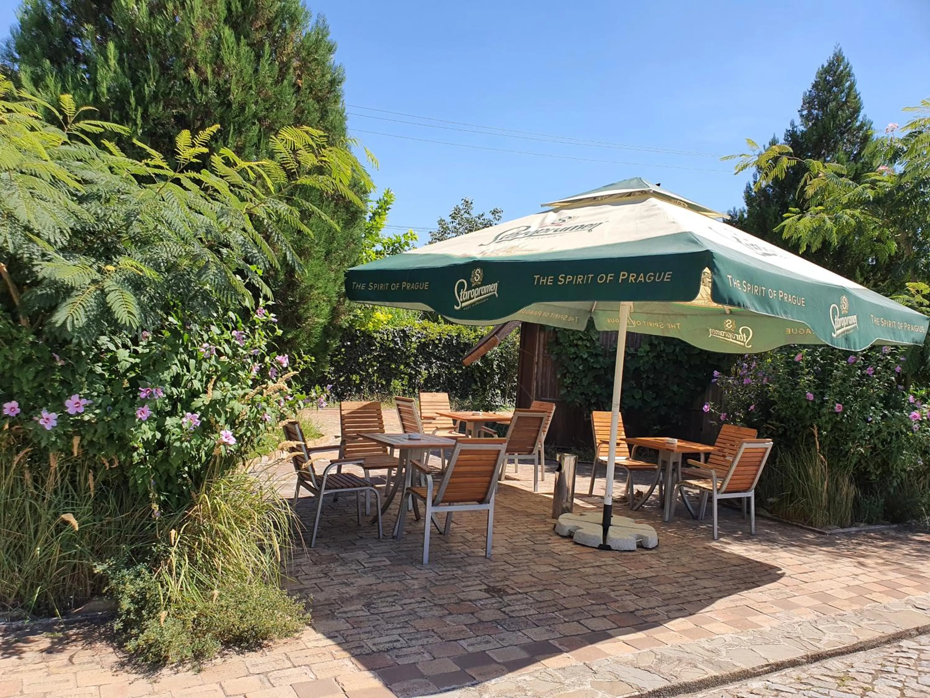 Restaurant/places to eat in Lotca Fermecată - Lotka Fermecată