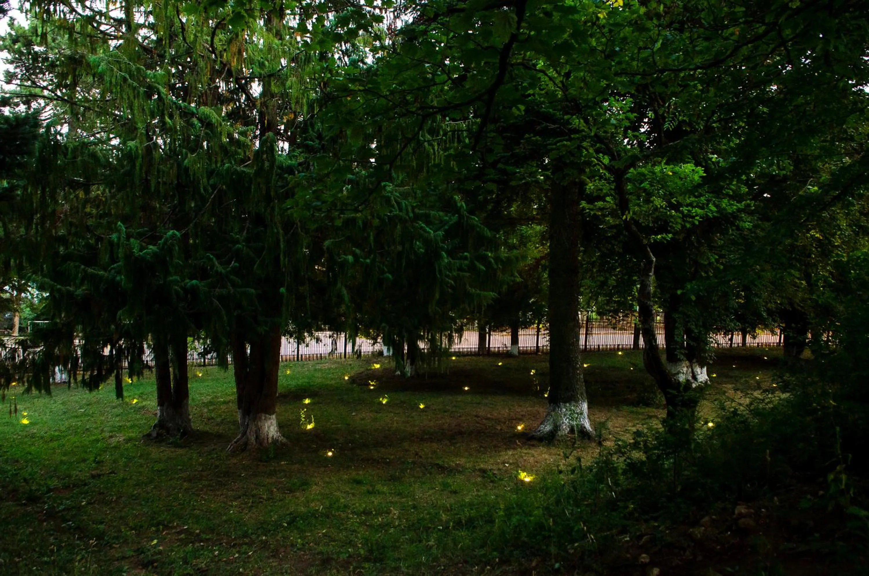 Natural landscape in The Residence Hotel & Cottages