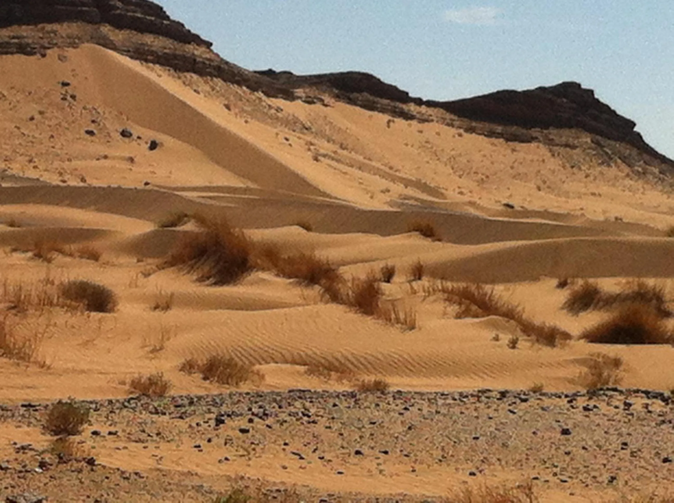 Area and facilities in Maison Boutchrafine