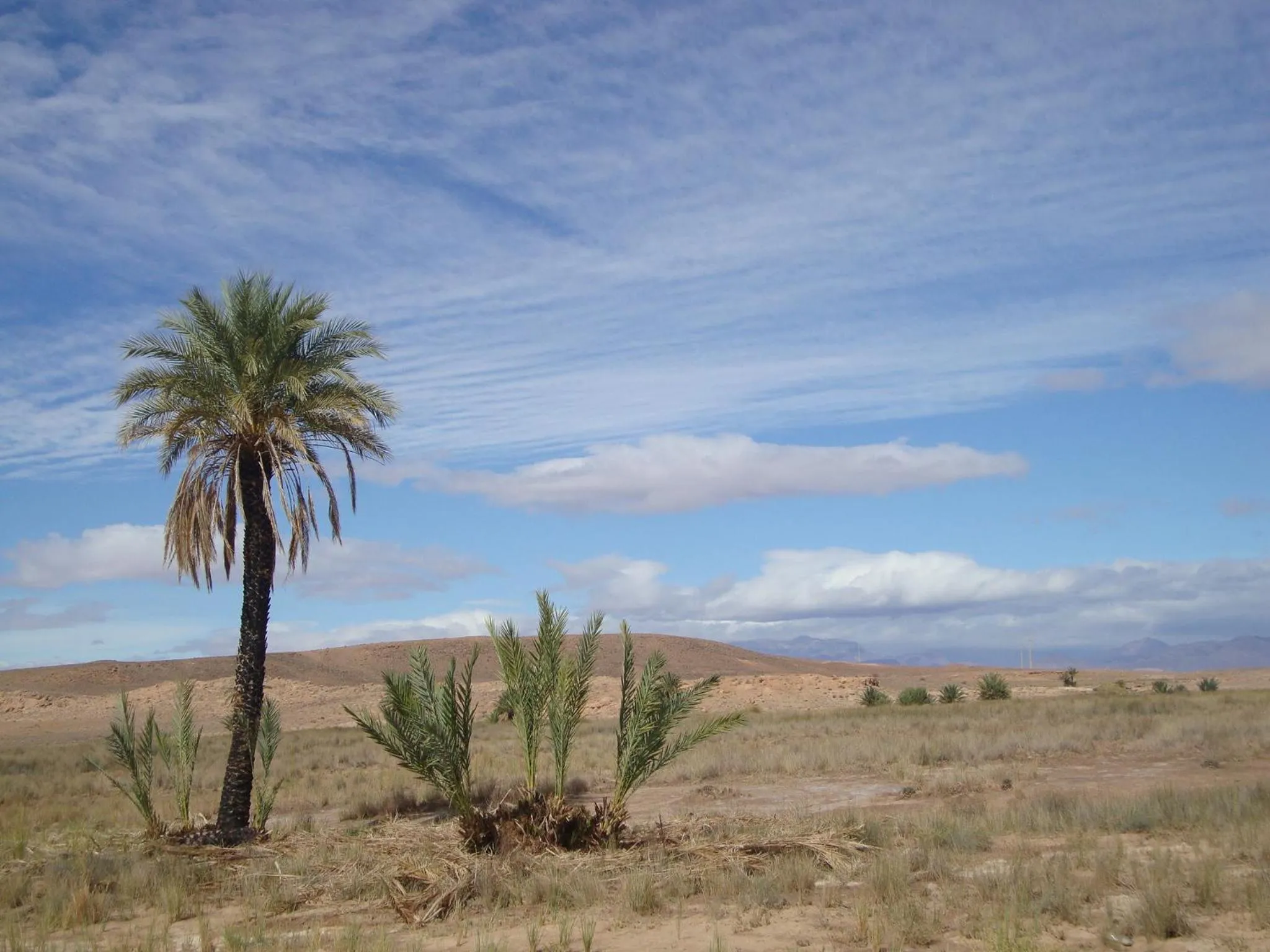 Area and facilities in Maison Boutchrafine